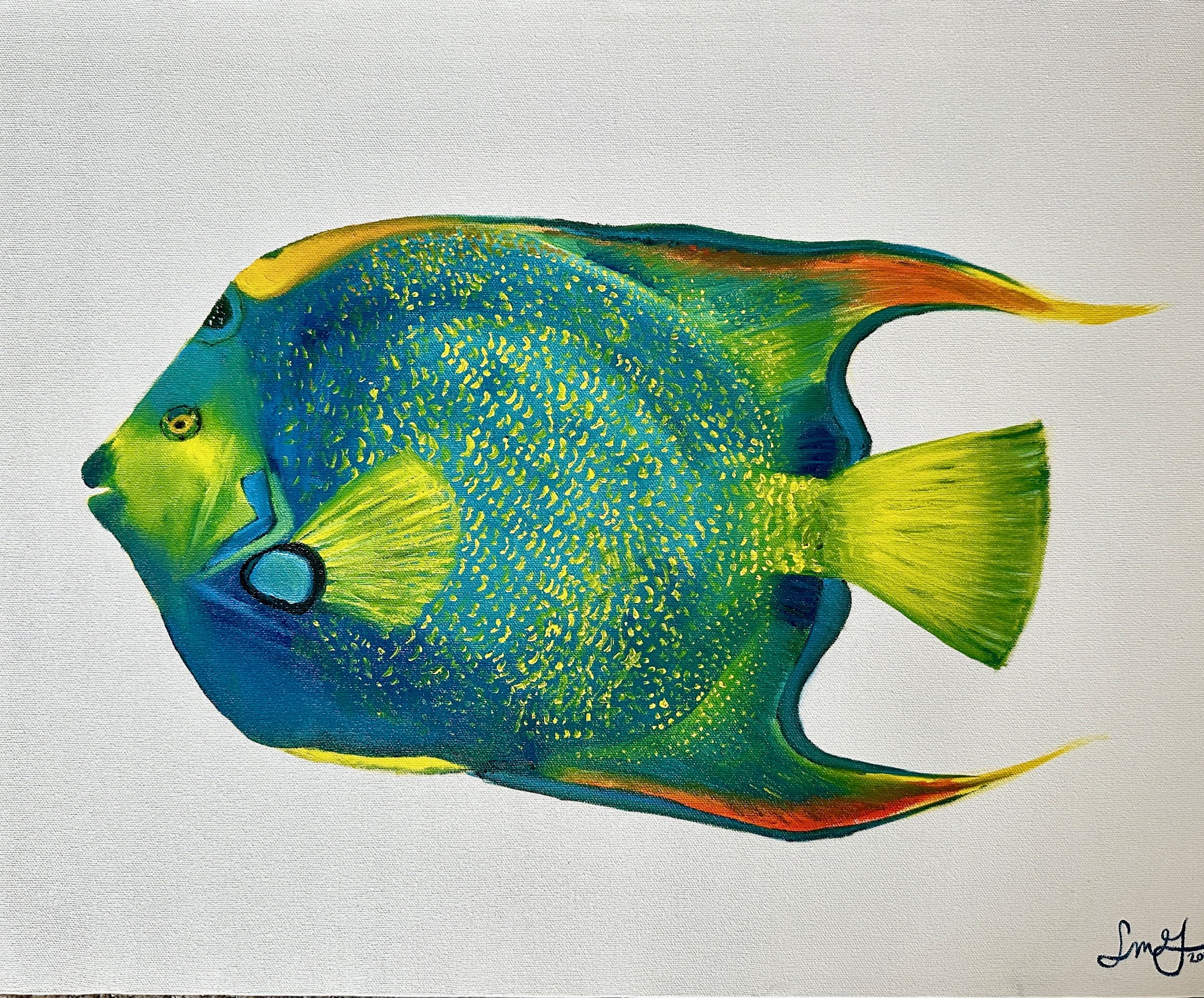 "Queen Angelfish" 18x24 Oil on Canvas
