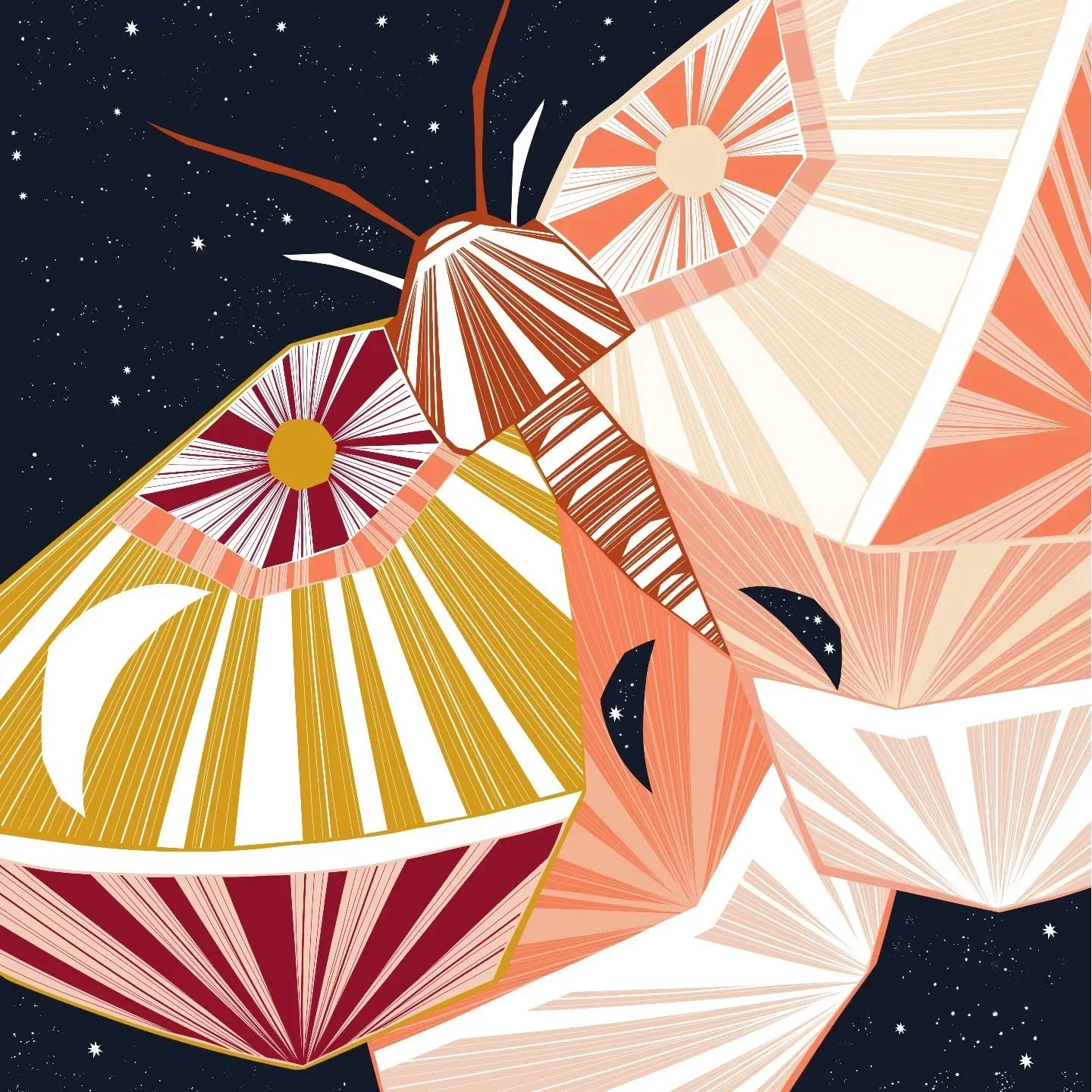 Here's my second illustration in my Cosmic Creatures II series, a mystical moth, inspired by a silkworm moth... 🌜😊💖 #dacylrunnaclesart