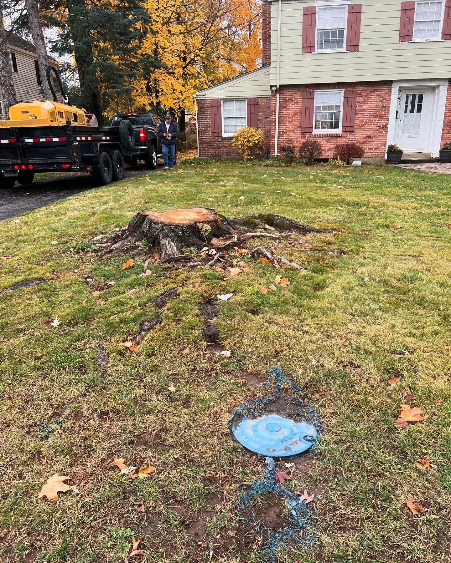 Another eyesore removed from this front yard.