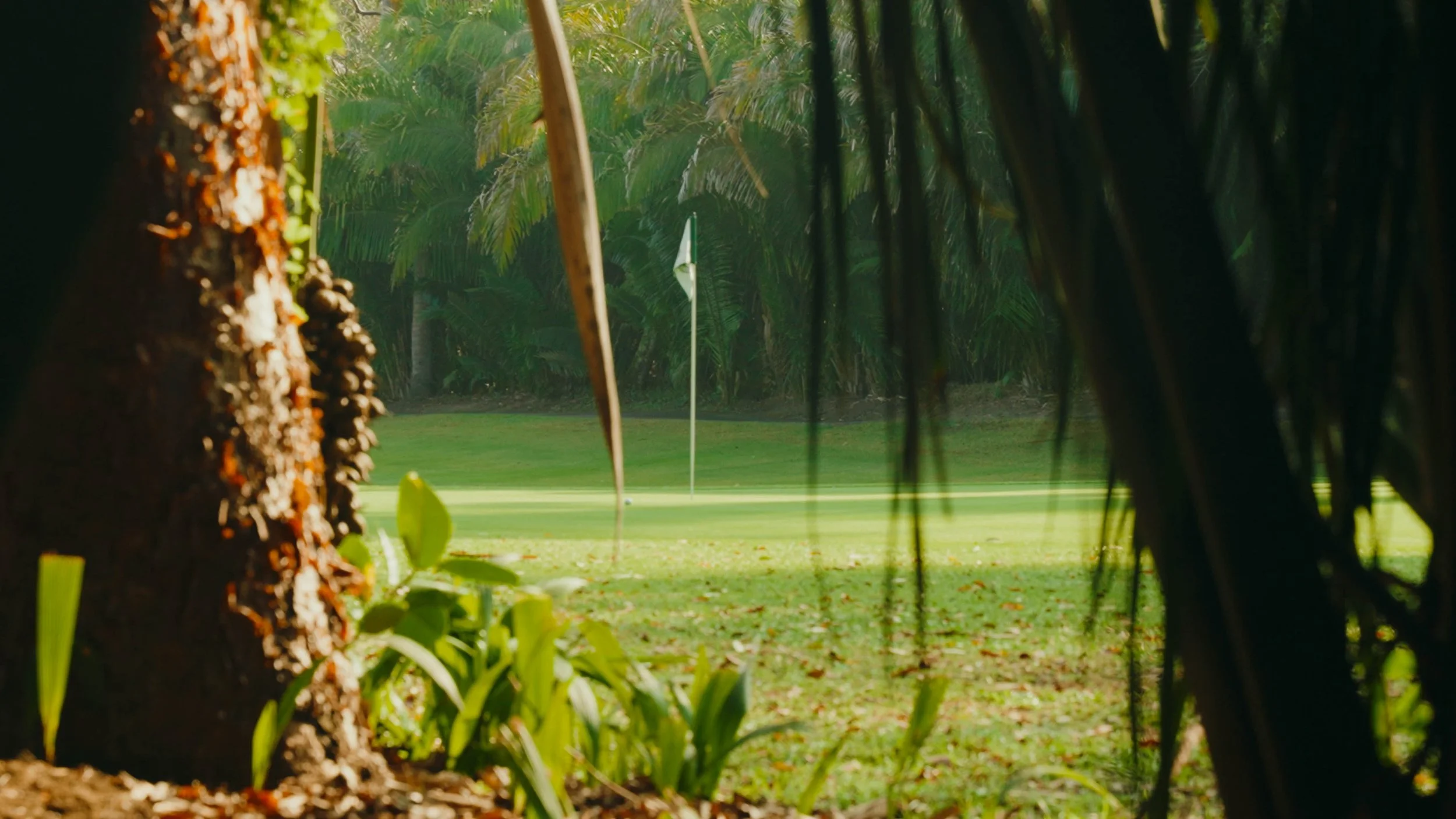 Golf Course Edit.00_15_46_04.Still088.jpg