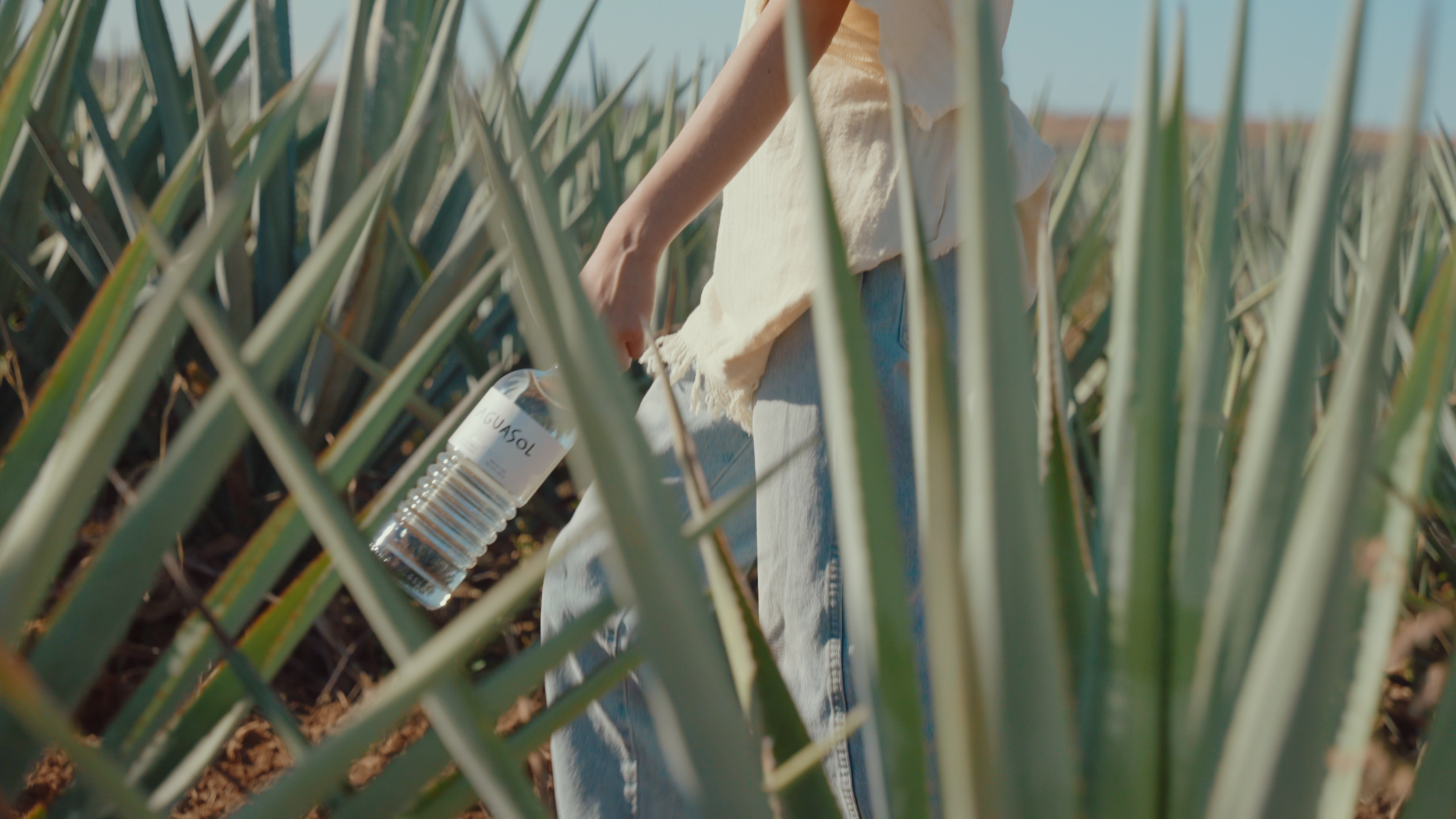 Aguasol Reels.00_02_11_05.Still010.png