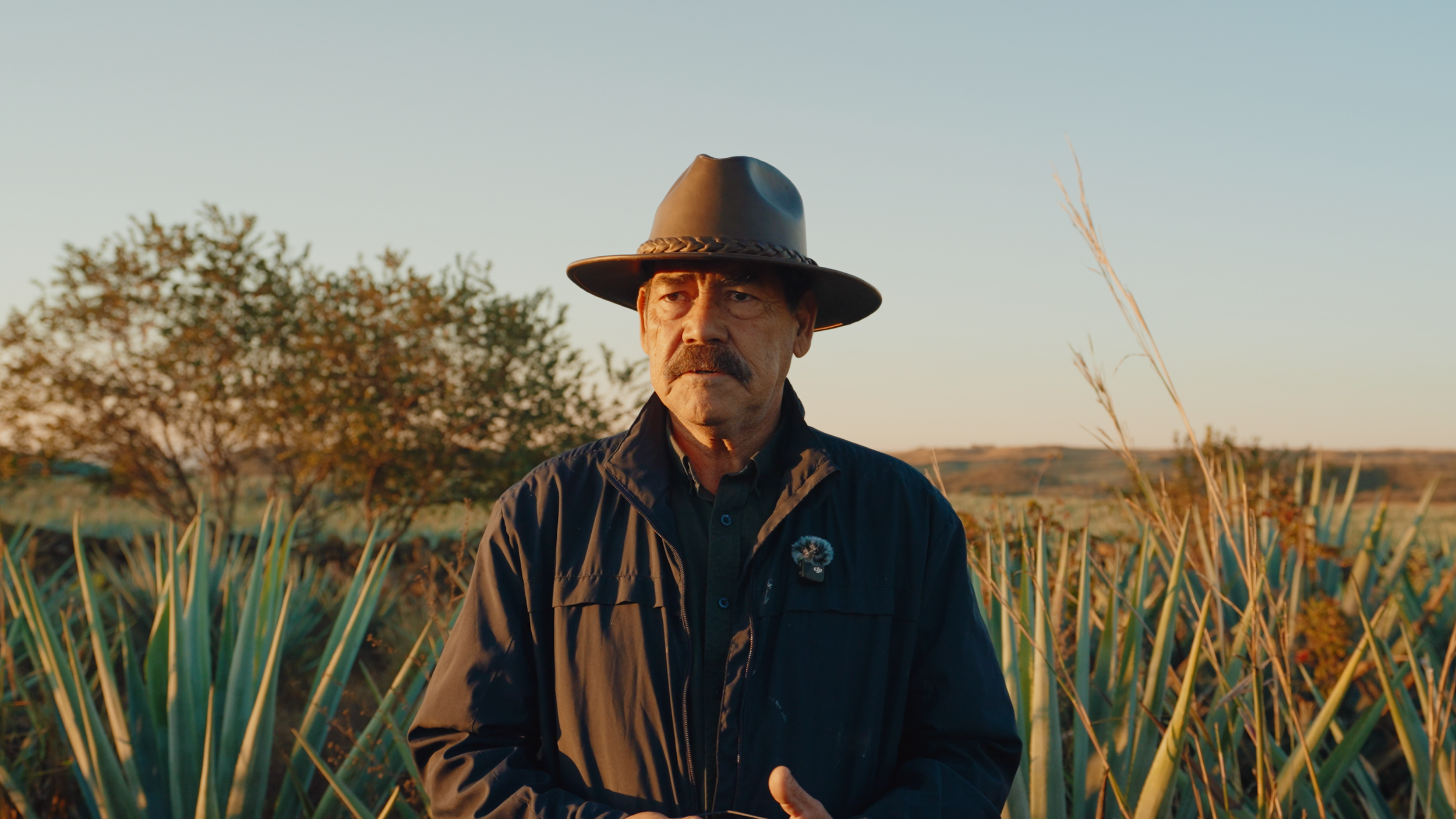 Aguasol Production Process.00_00_07_22.Still065.png