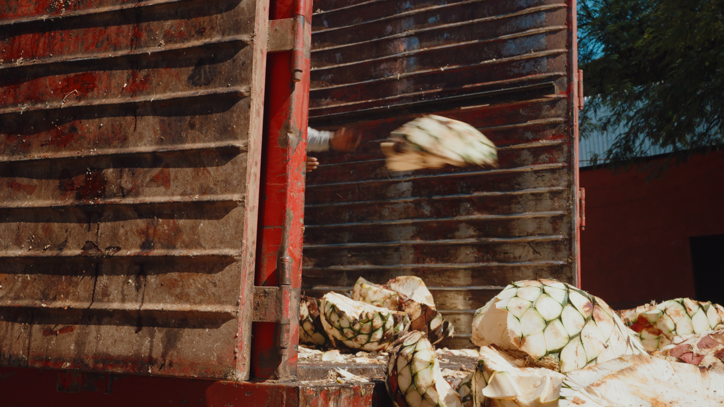 Aguasol Production Process.00_00_50_18.Still070.png