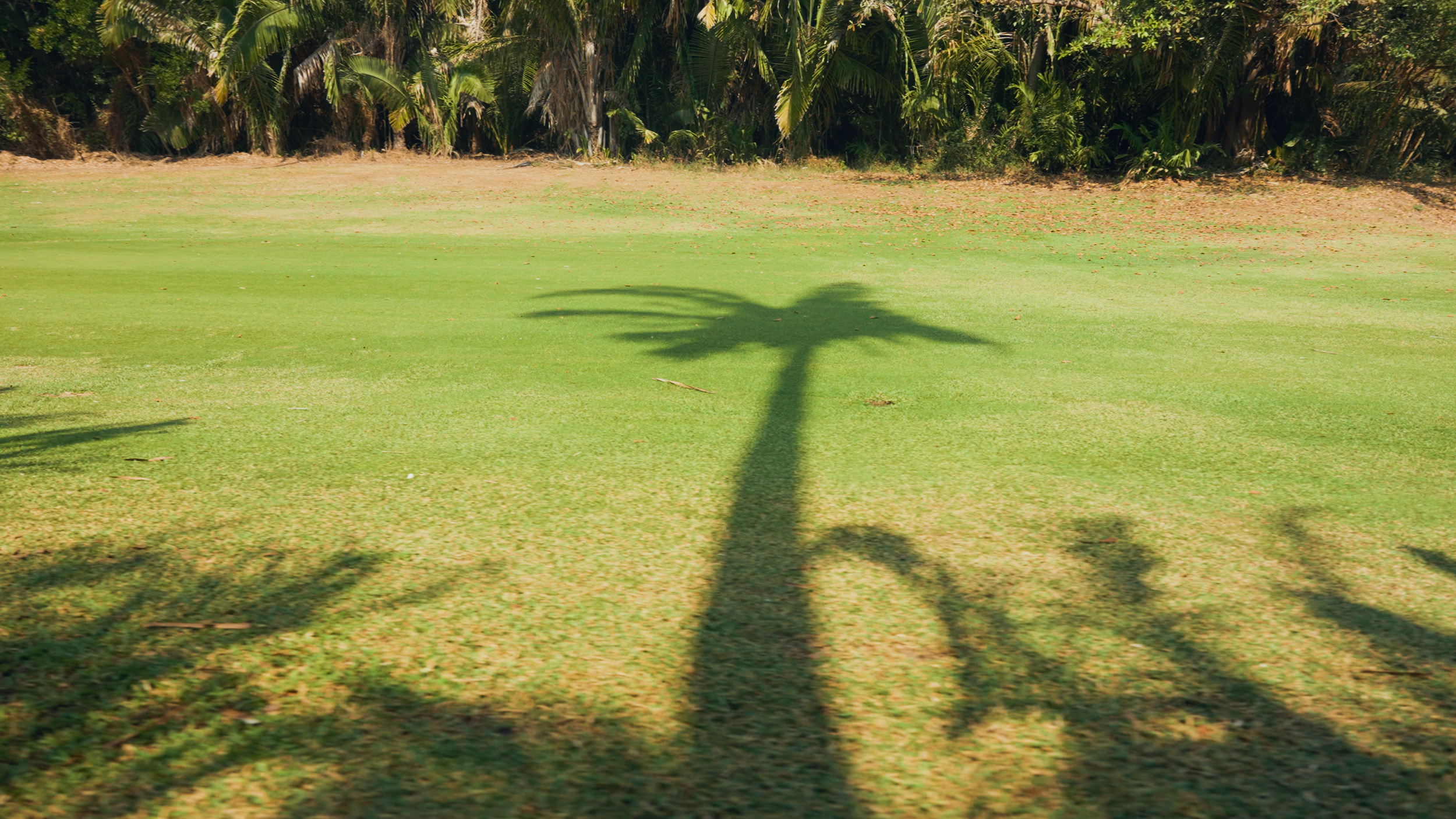 Golf Course Edit.00_01_40_17.Still005.png