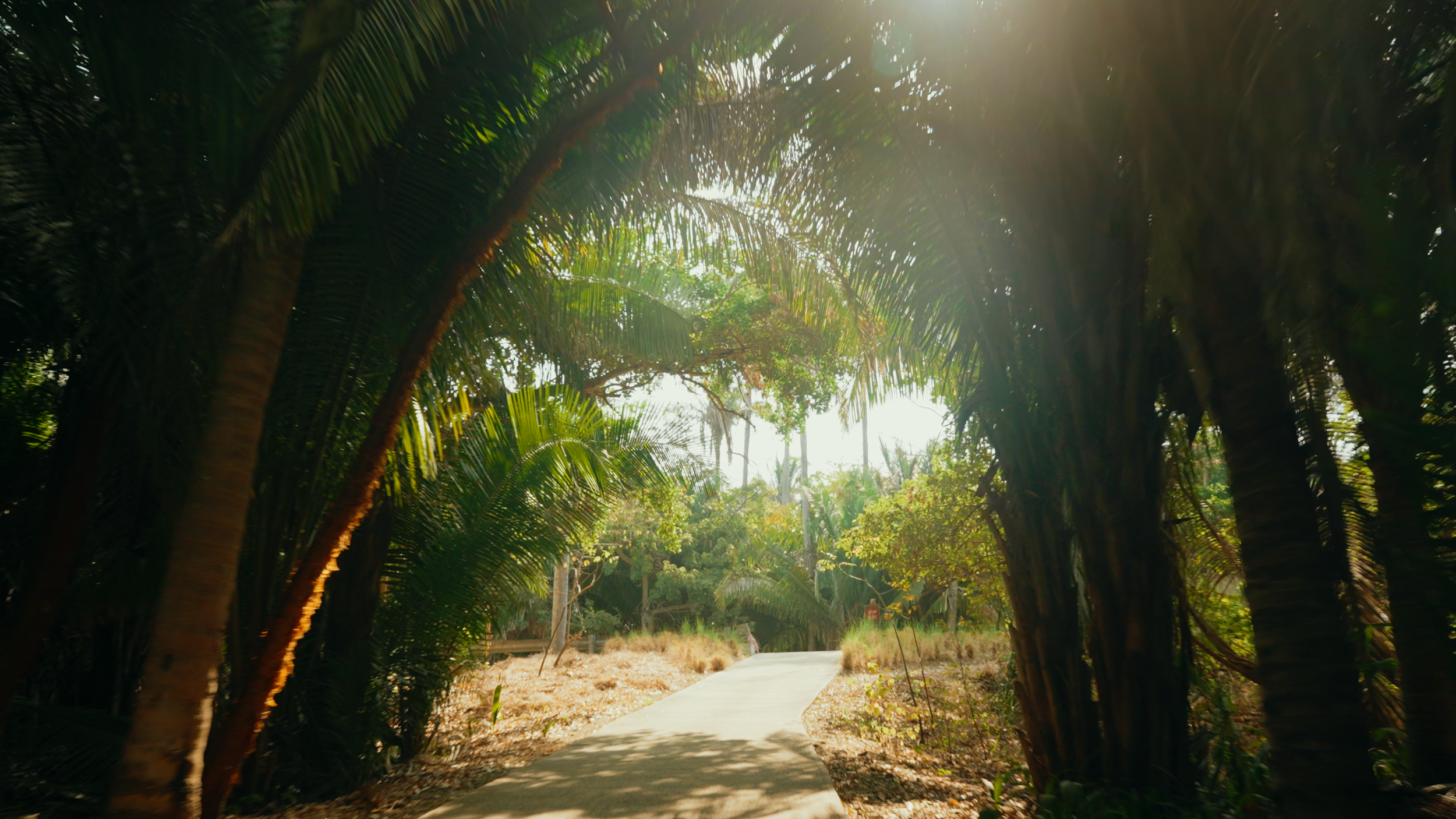 Golf Course Edit.00_10_34_04.Still024.png