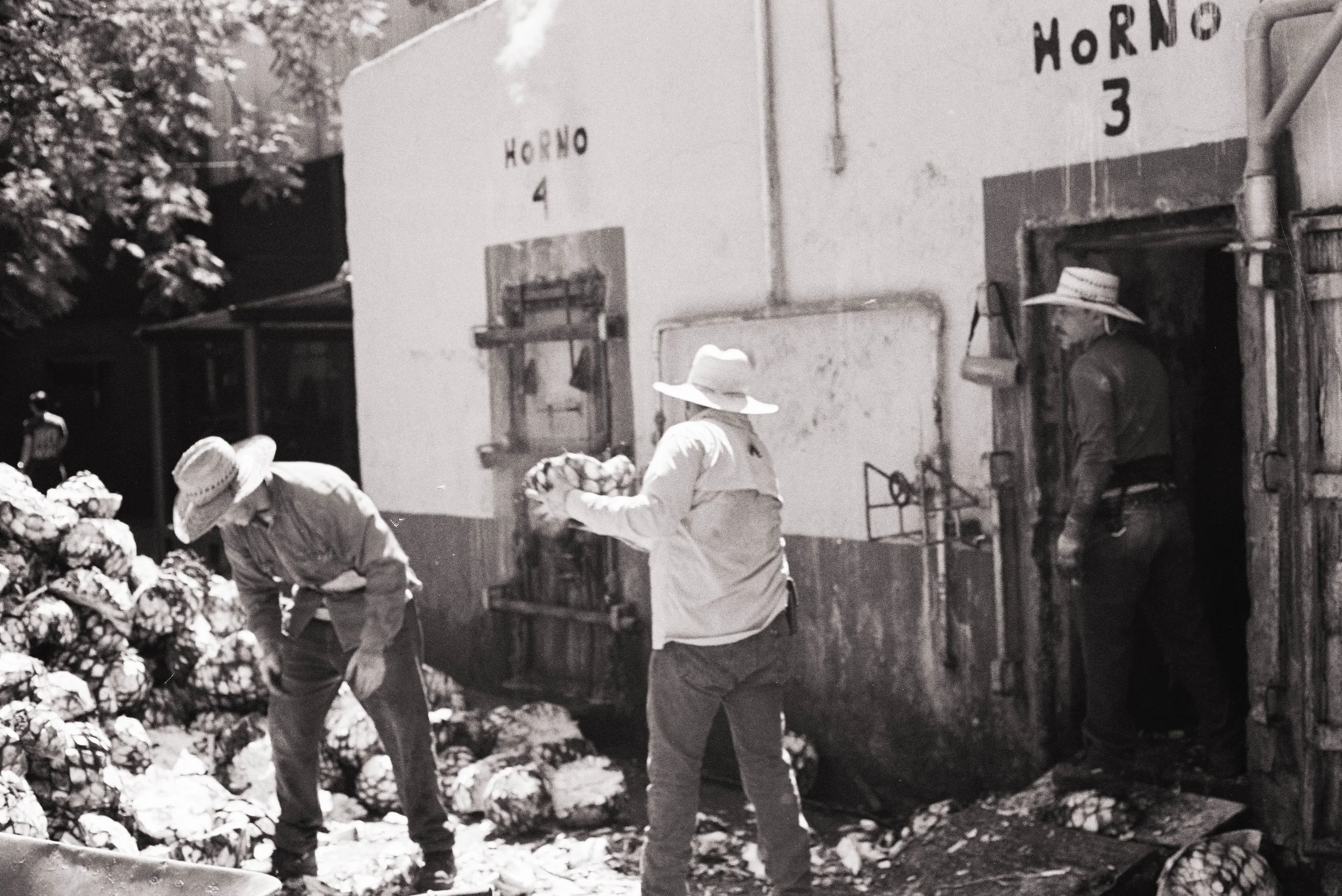 llenando el horno - la Distileria (B&W)