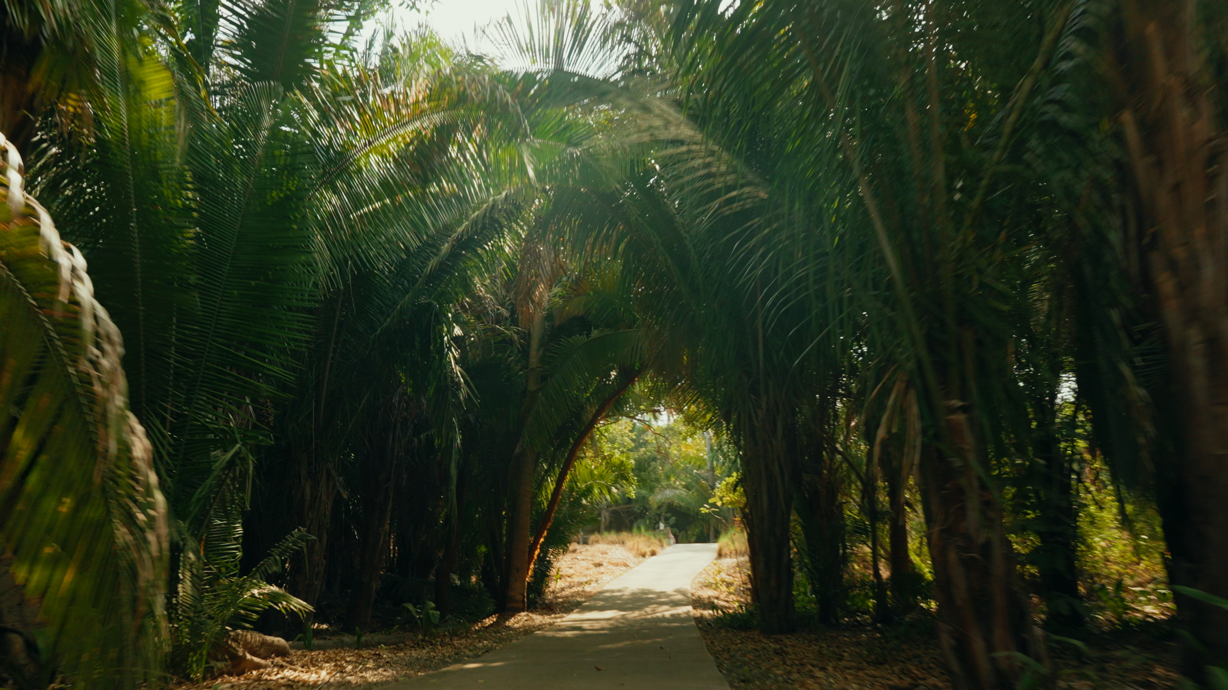 Golf Course Edit.00_10_30_22.Still022.png