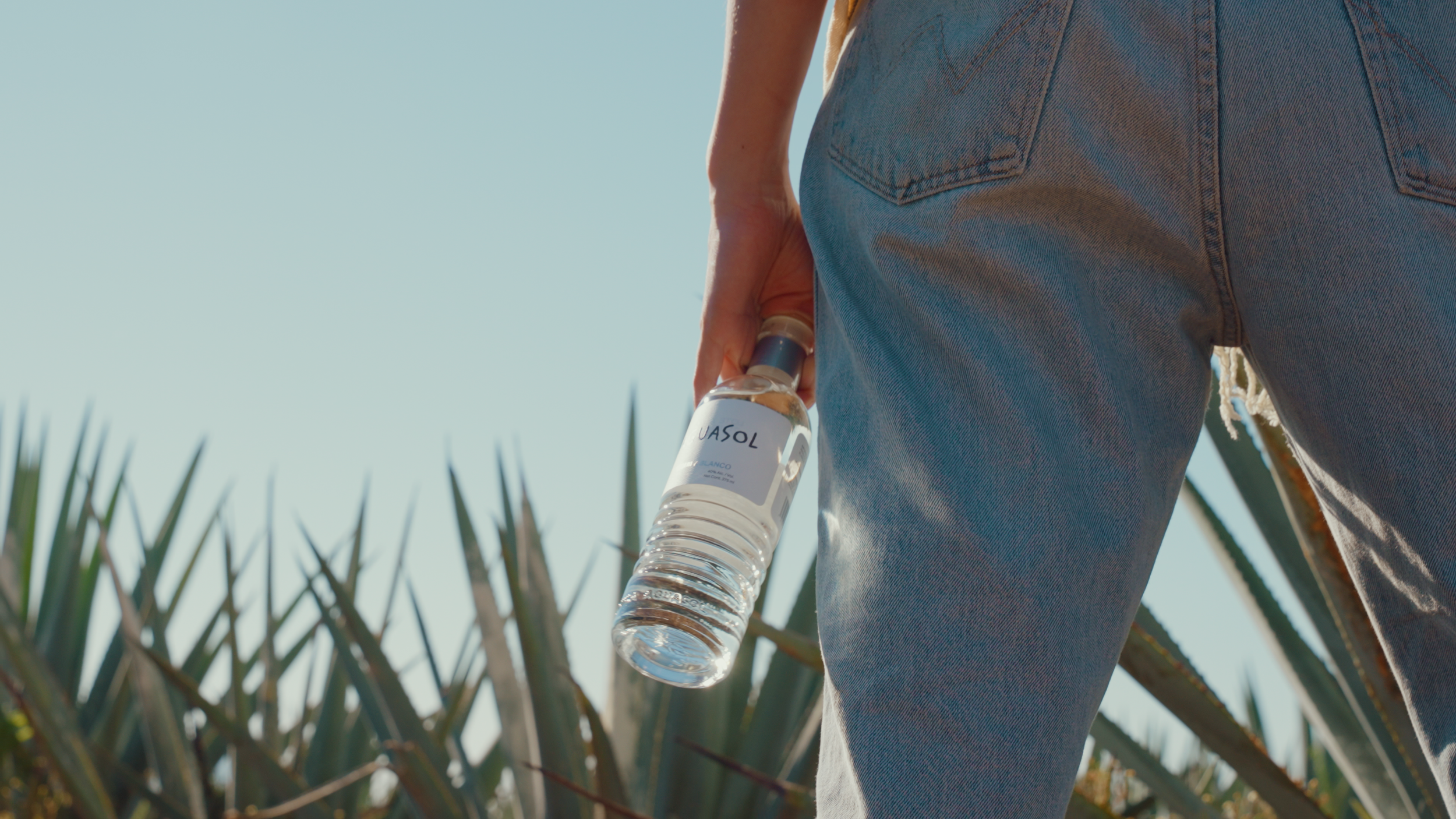 Aguasol Reels.00_01_38_01.Still008.png