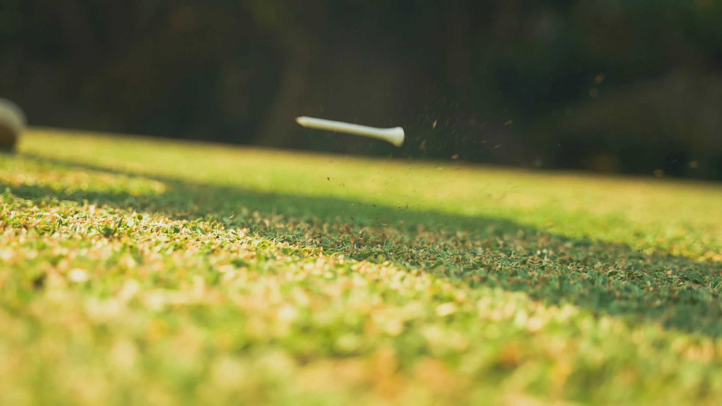 Golf Course Edit.00_08_36_19.Still081.jpg