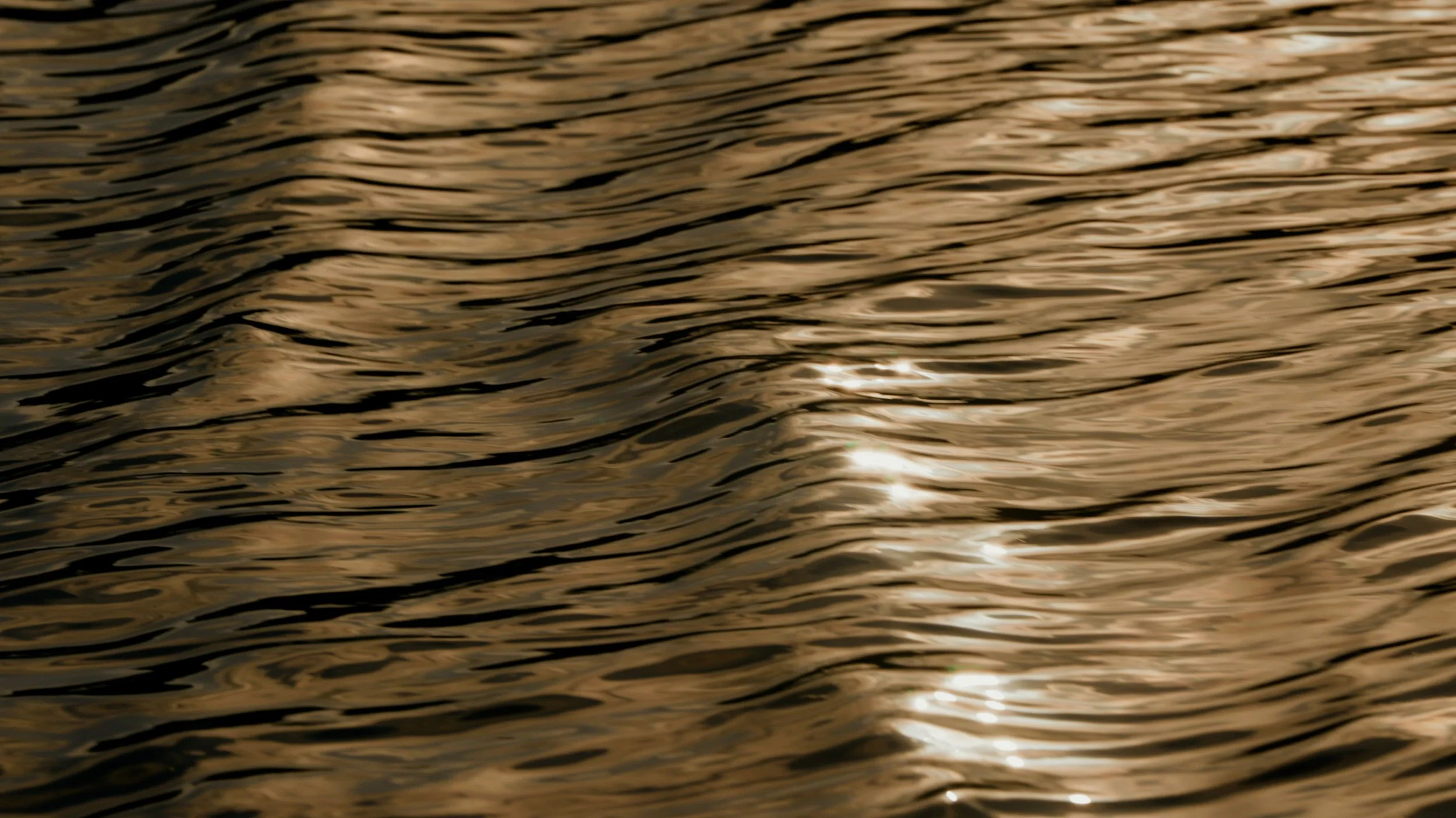 CHASE ARC.00_22_06_23.Still036.jpg
