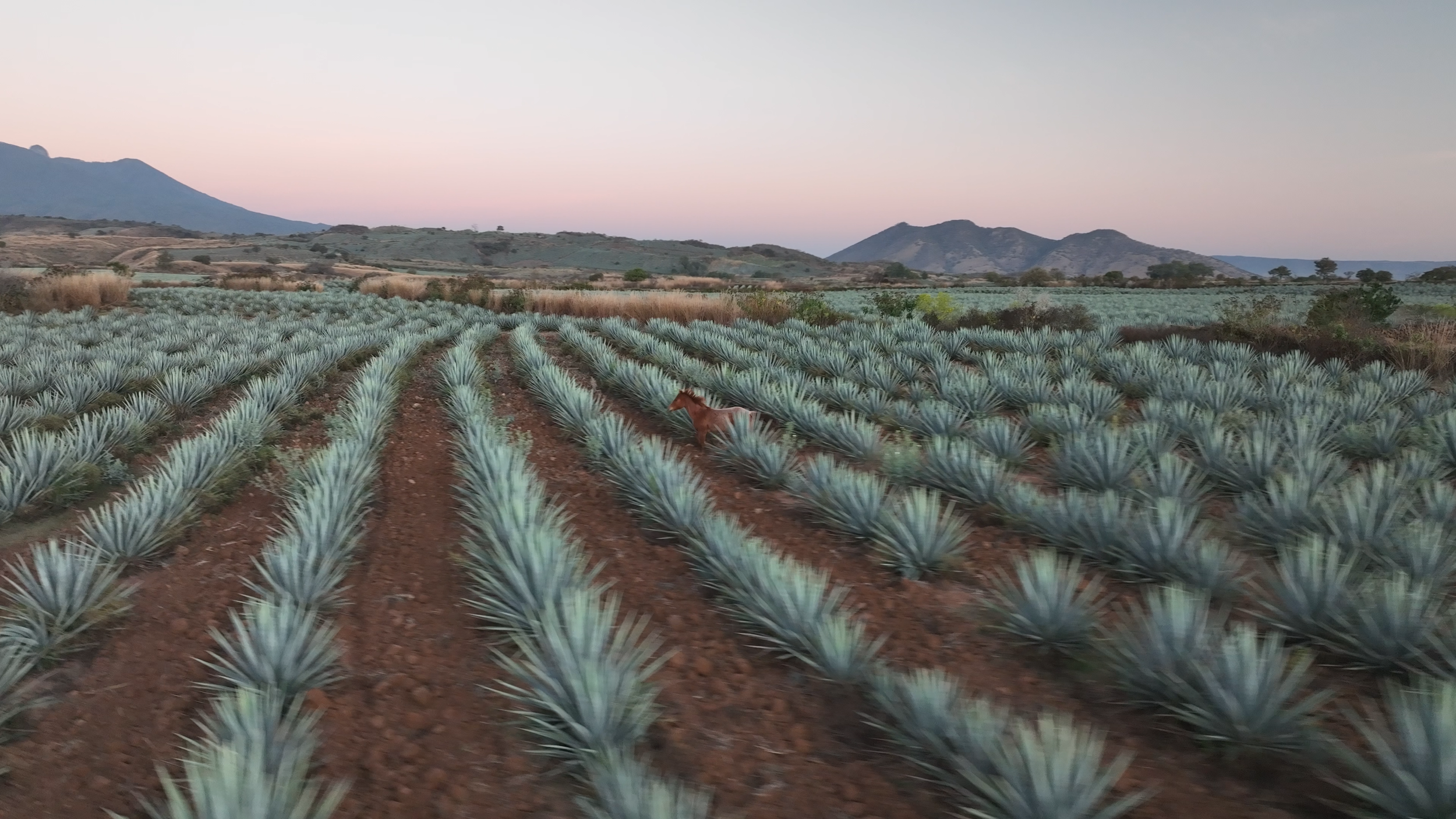 Aguasol Production Process.00_00_12_09.Still066.png