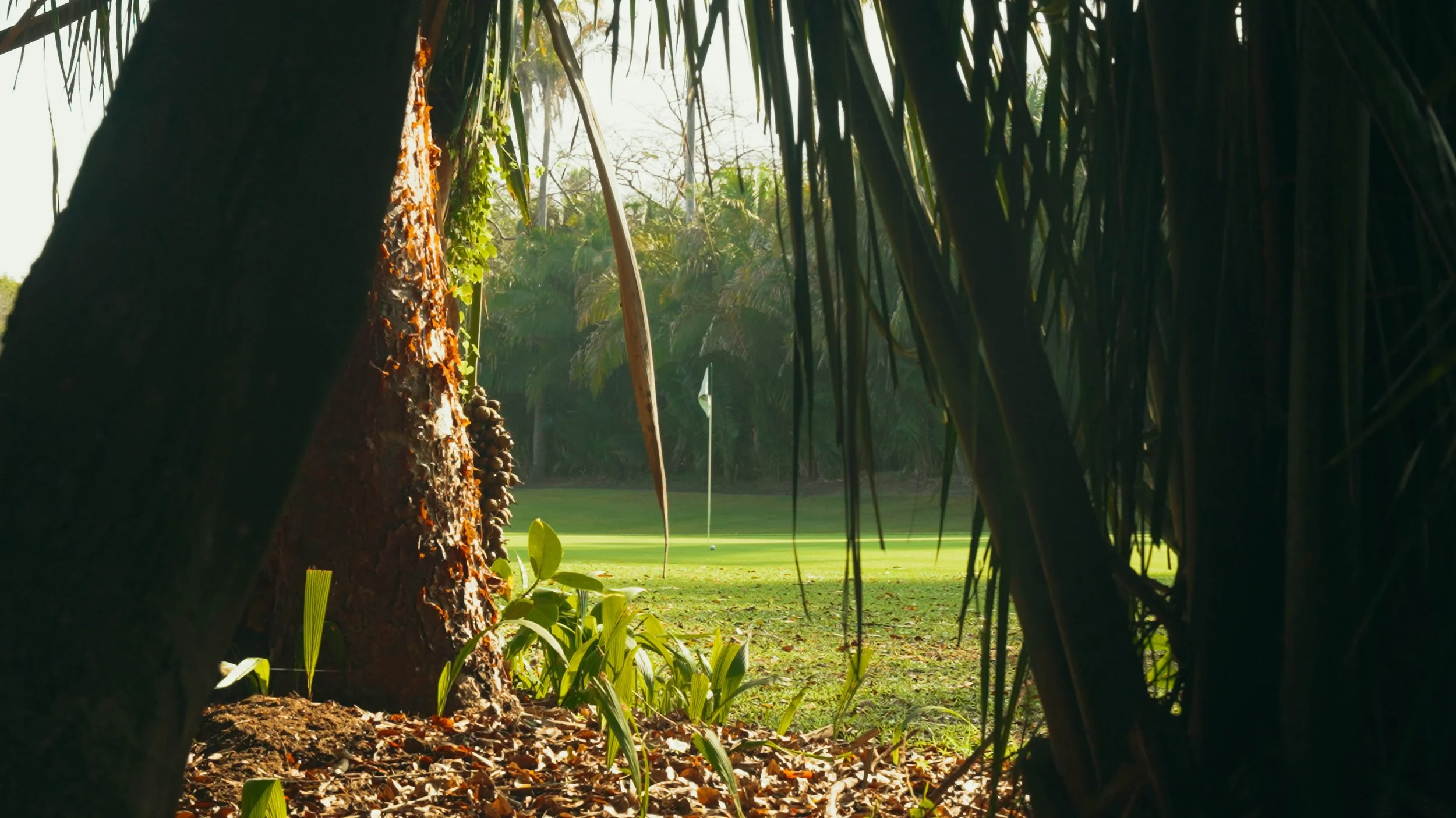 Golf Course Edit.00_15_21_11.Still028.jpg