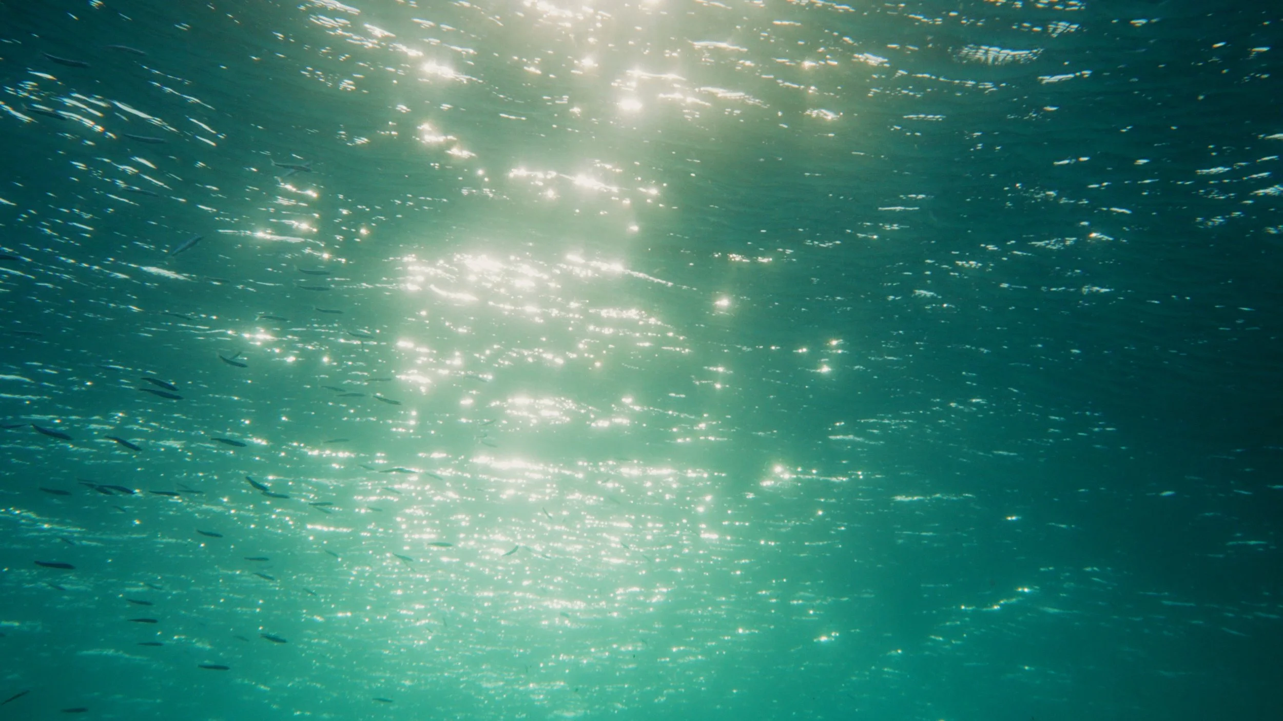 Ambre.01_00_28_00.Still020.jpg