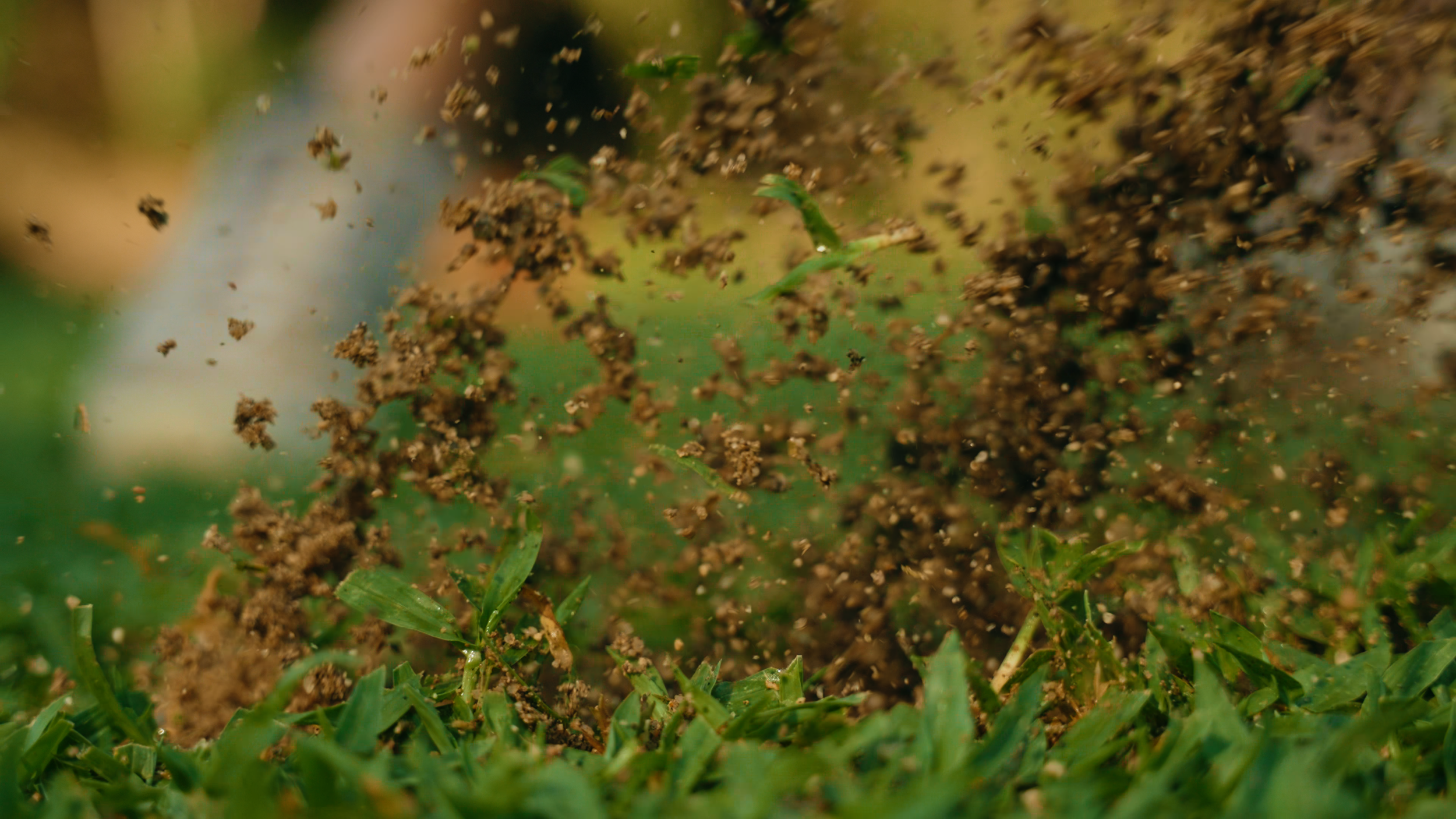 Golf Course Edit.00_13_52_12.Still026.png