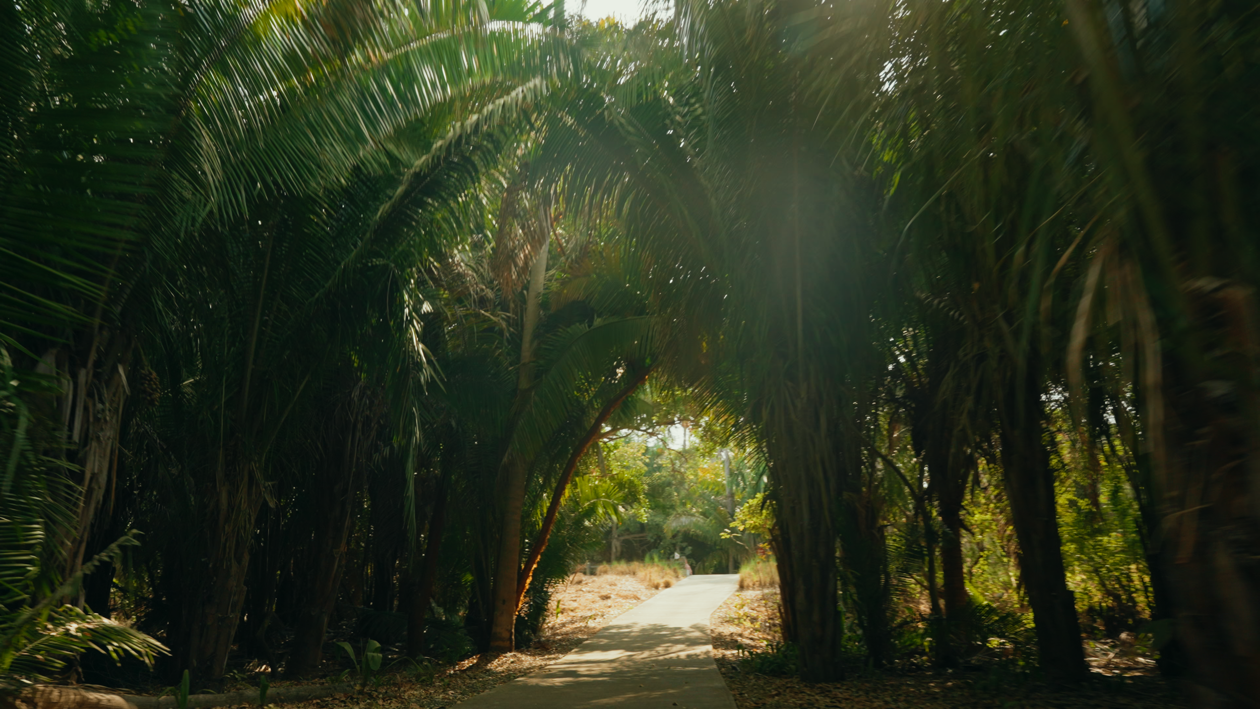 Golf Course Edit.00_10_31_14.Still023.png