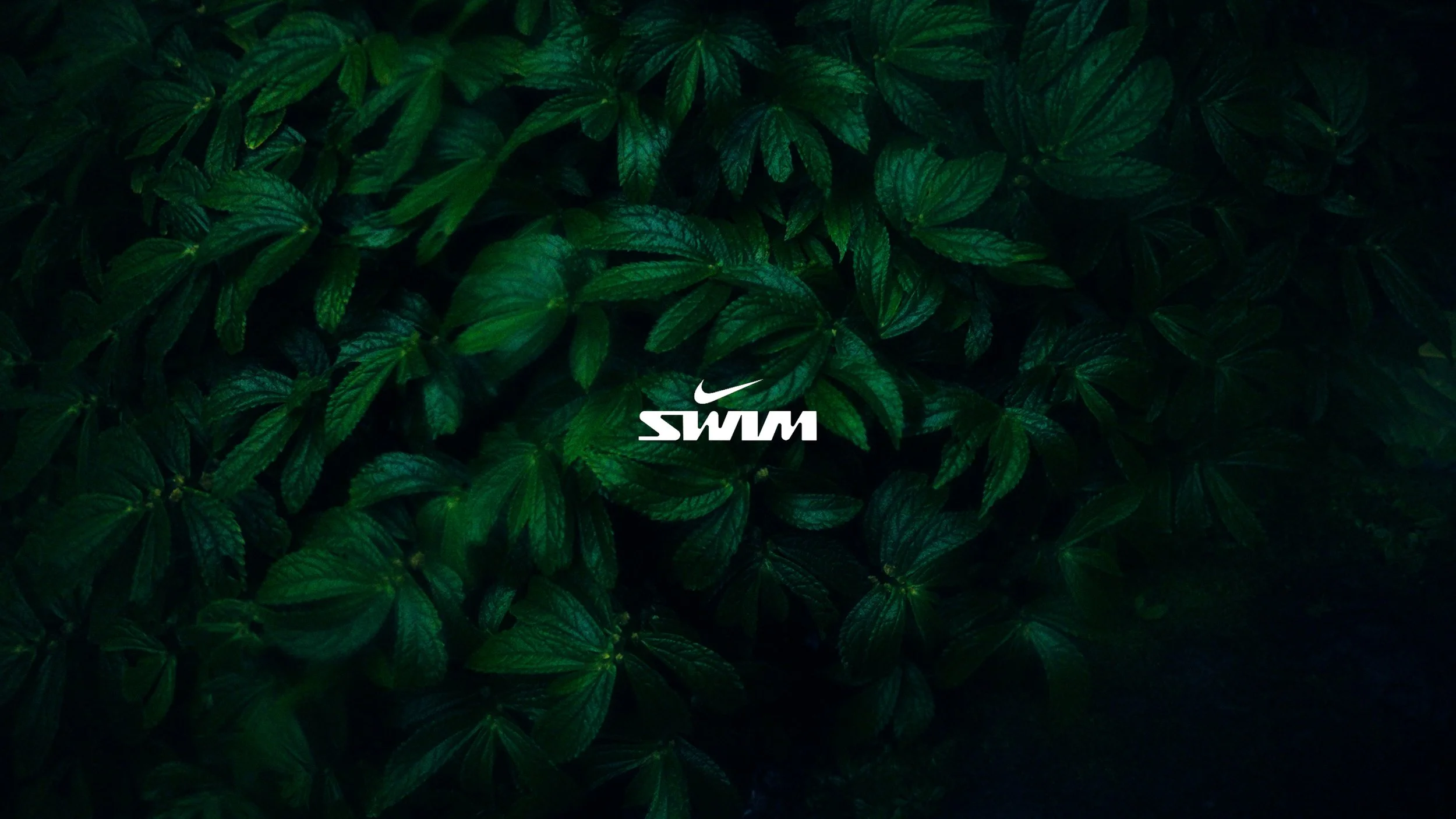 Ocean Folx x Nike Swim