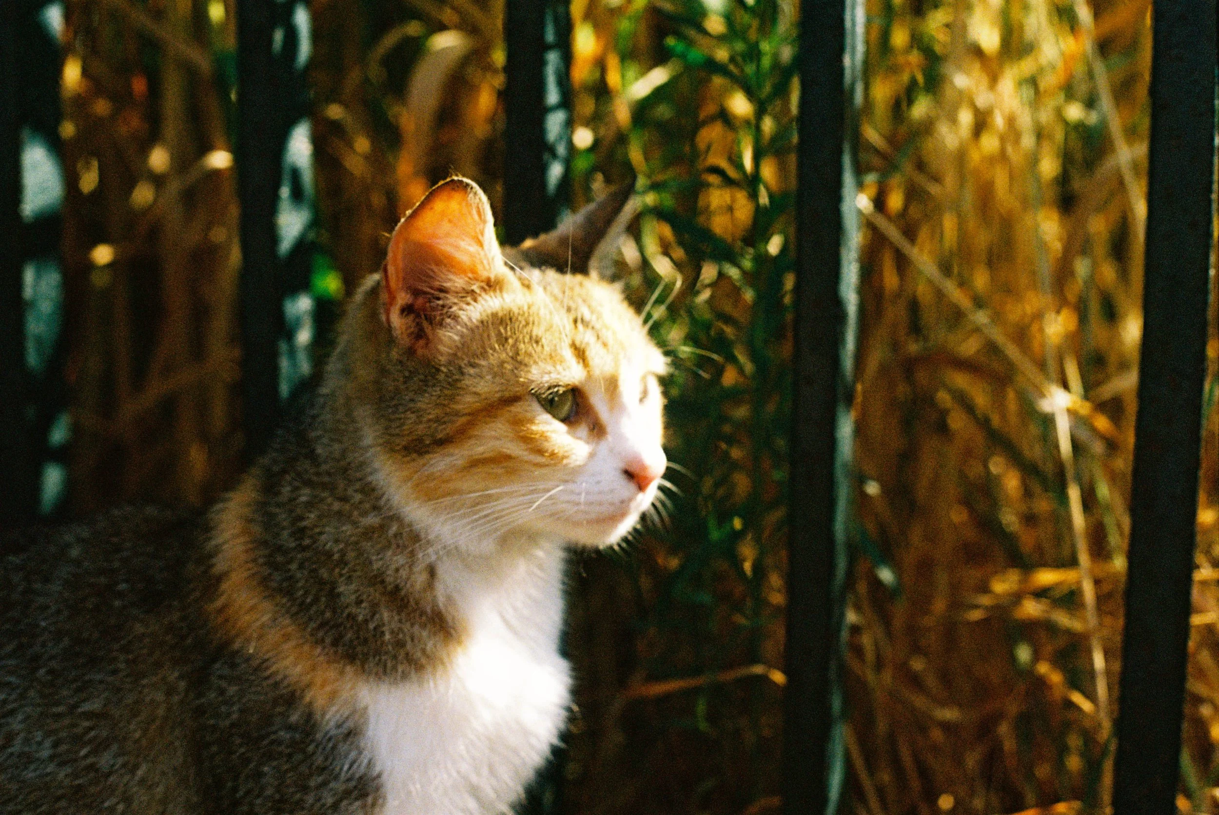 B046842-R1-07-29A.jpg