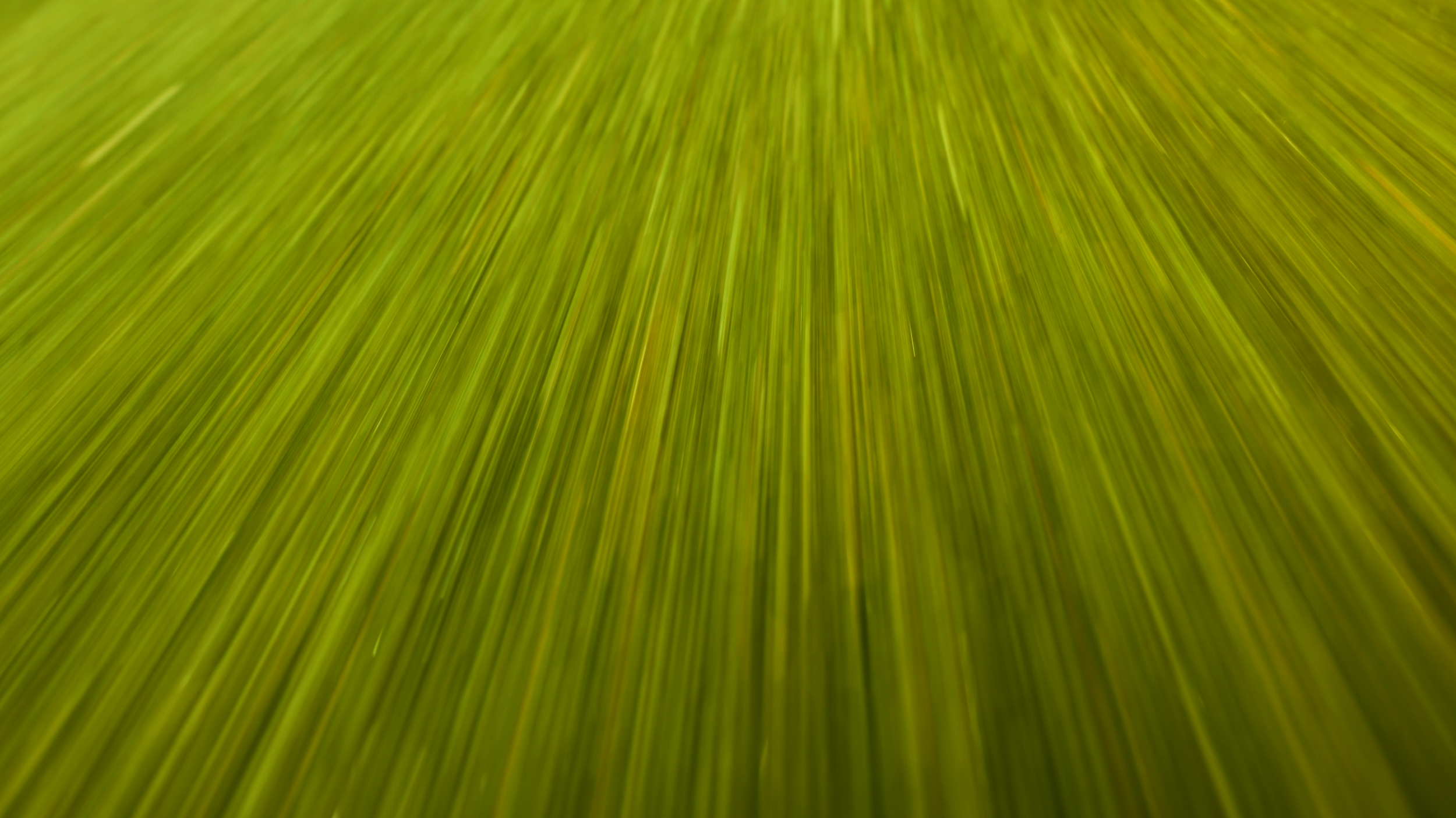 Golf Course Edit.00_22_02_05.Still038.png