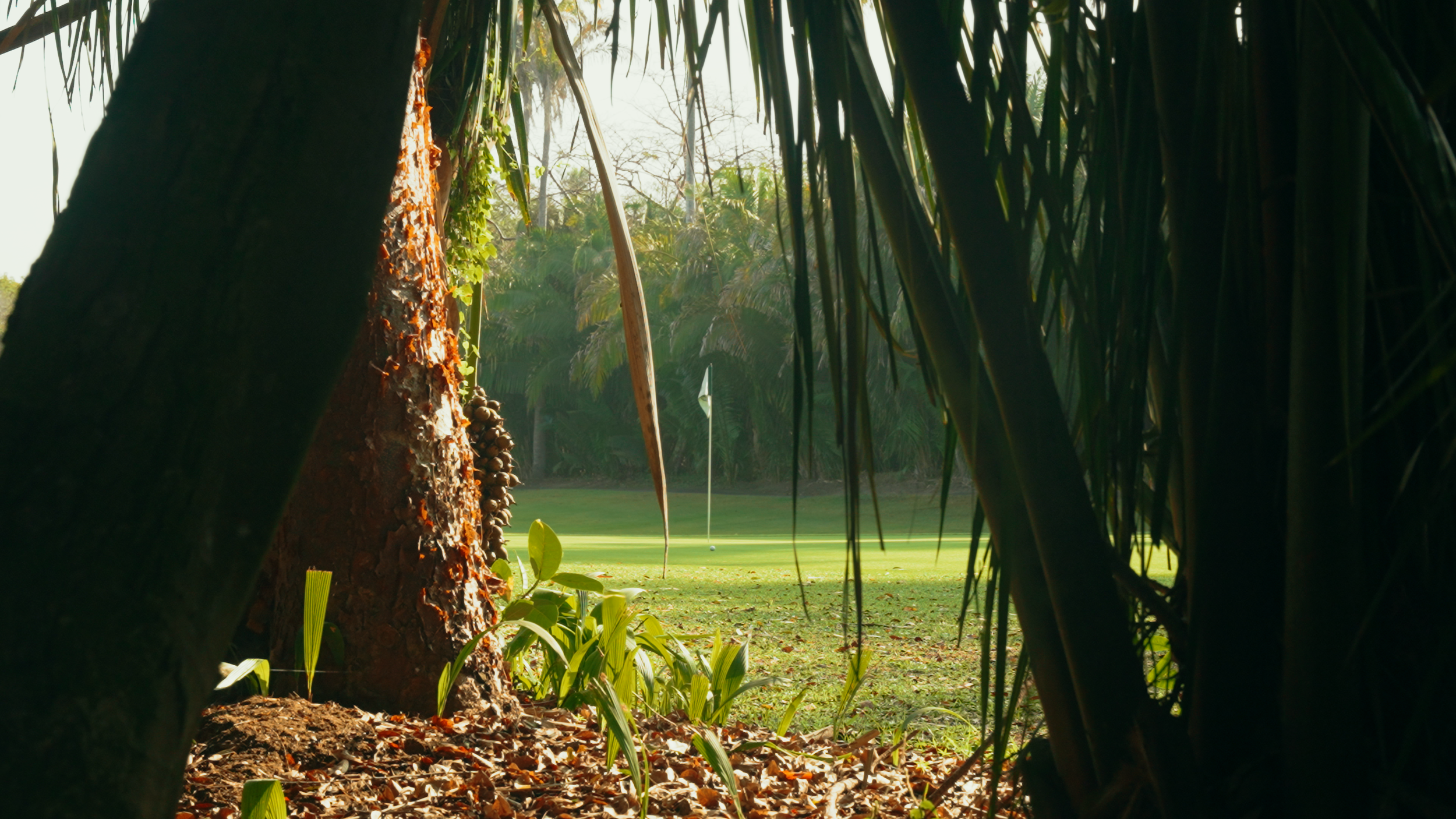 Golf Course Edit.00_15_21_11.Still028.png