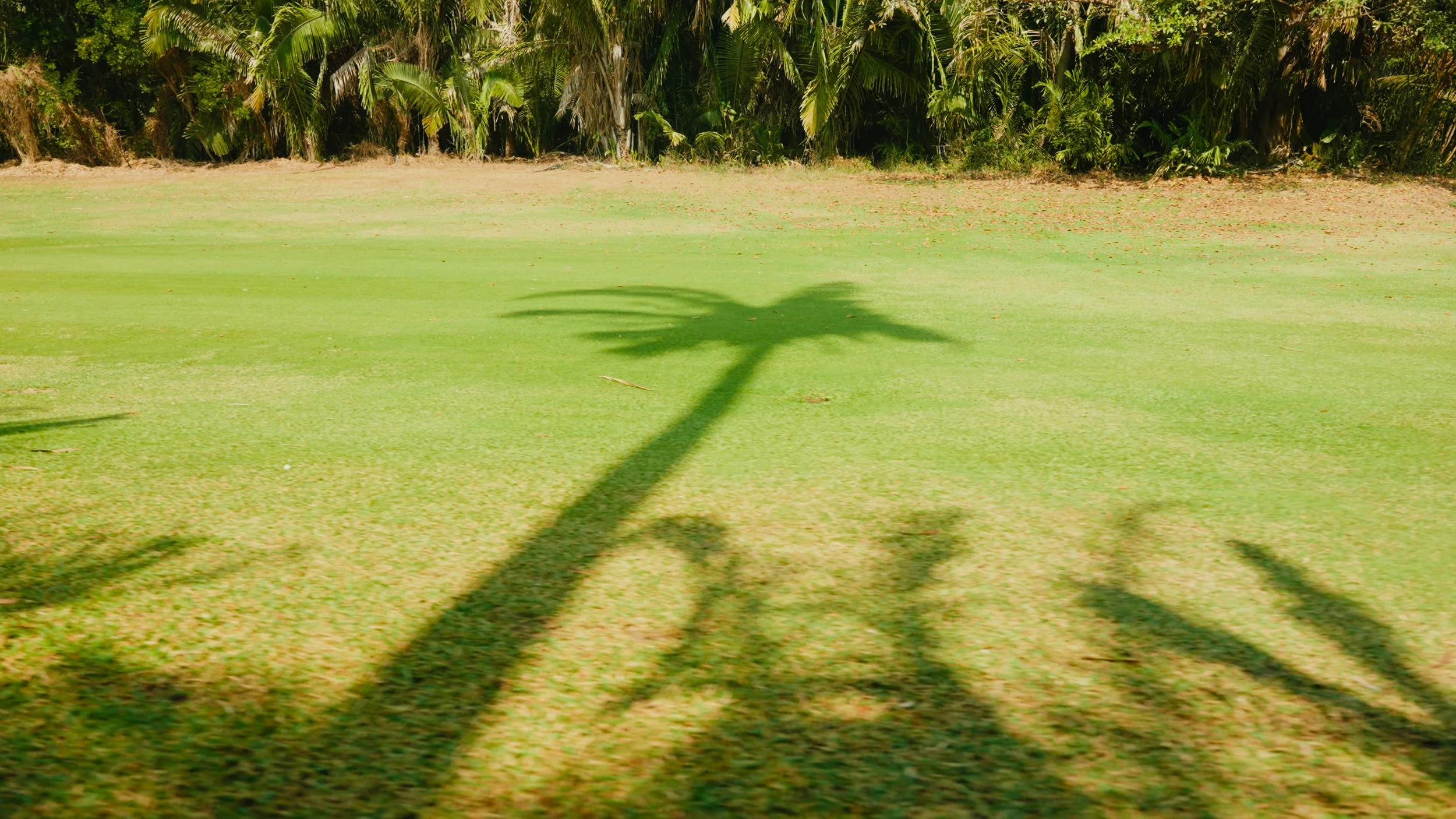 Golf Course Edit.00_01_39_23.Still053.jpg