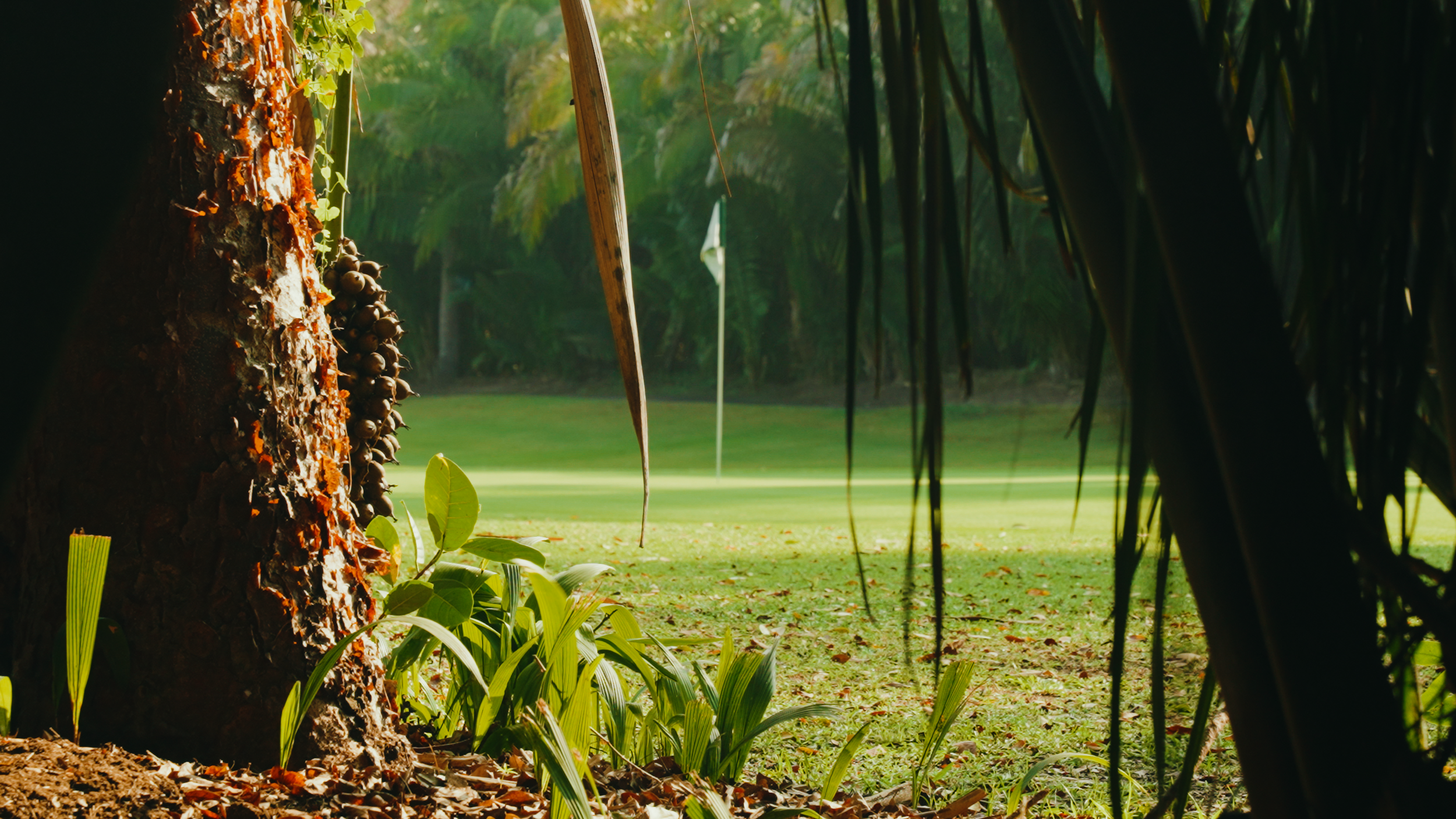 Golf Course Edit.00_15_40_05.Still029.png