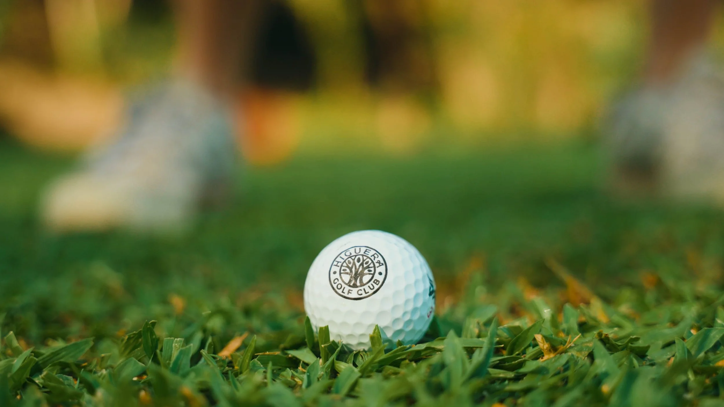 Golf Course Edit.00_13_51_22.Still025.jpg