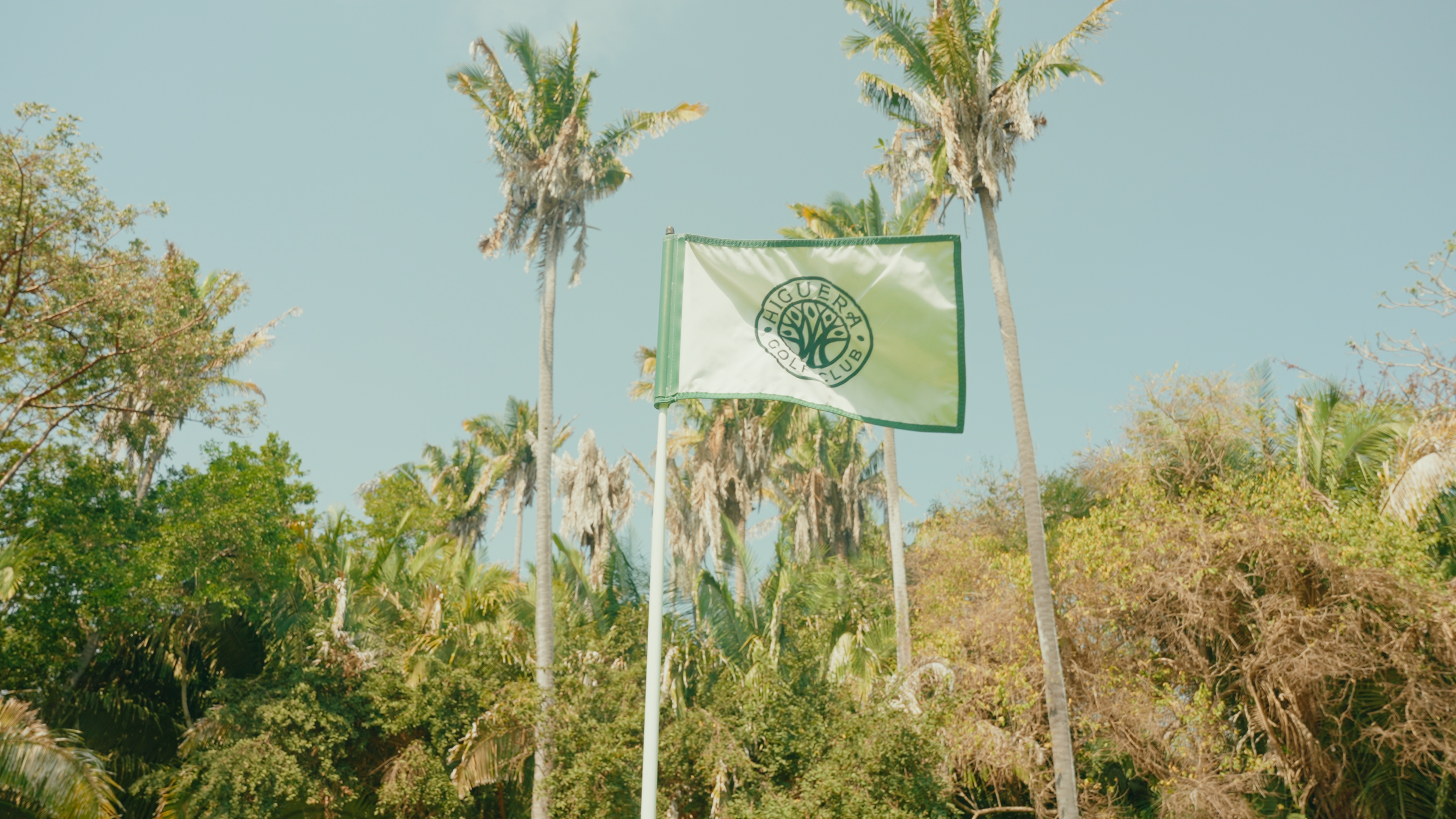 Golf Course Edit.00_01_24_06.Still004.png