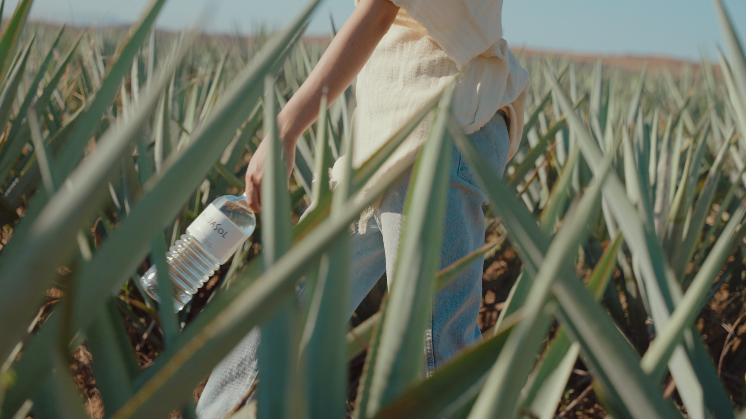 Aguasol Reels.00_01_54_22.Still009.png