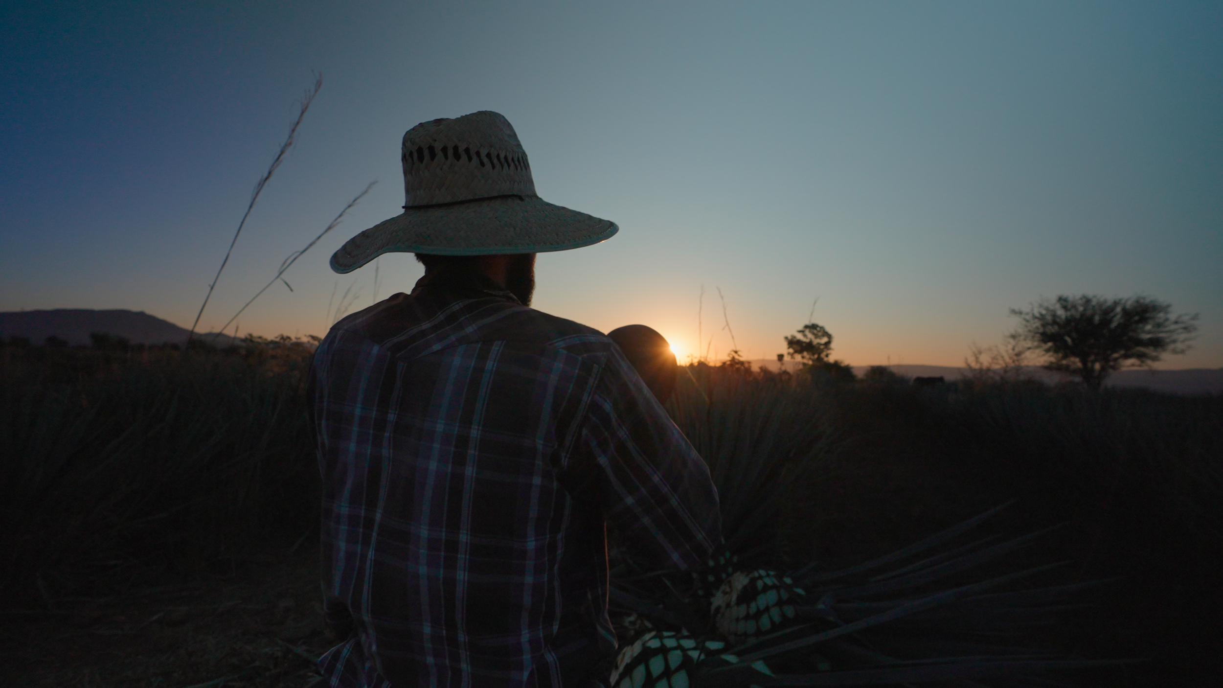 Aguasol Reels.00_00_53_15.Still004.png