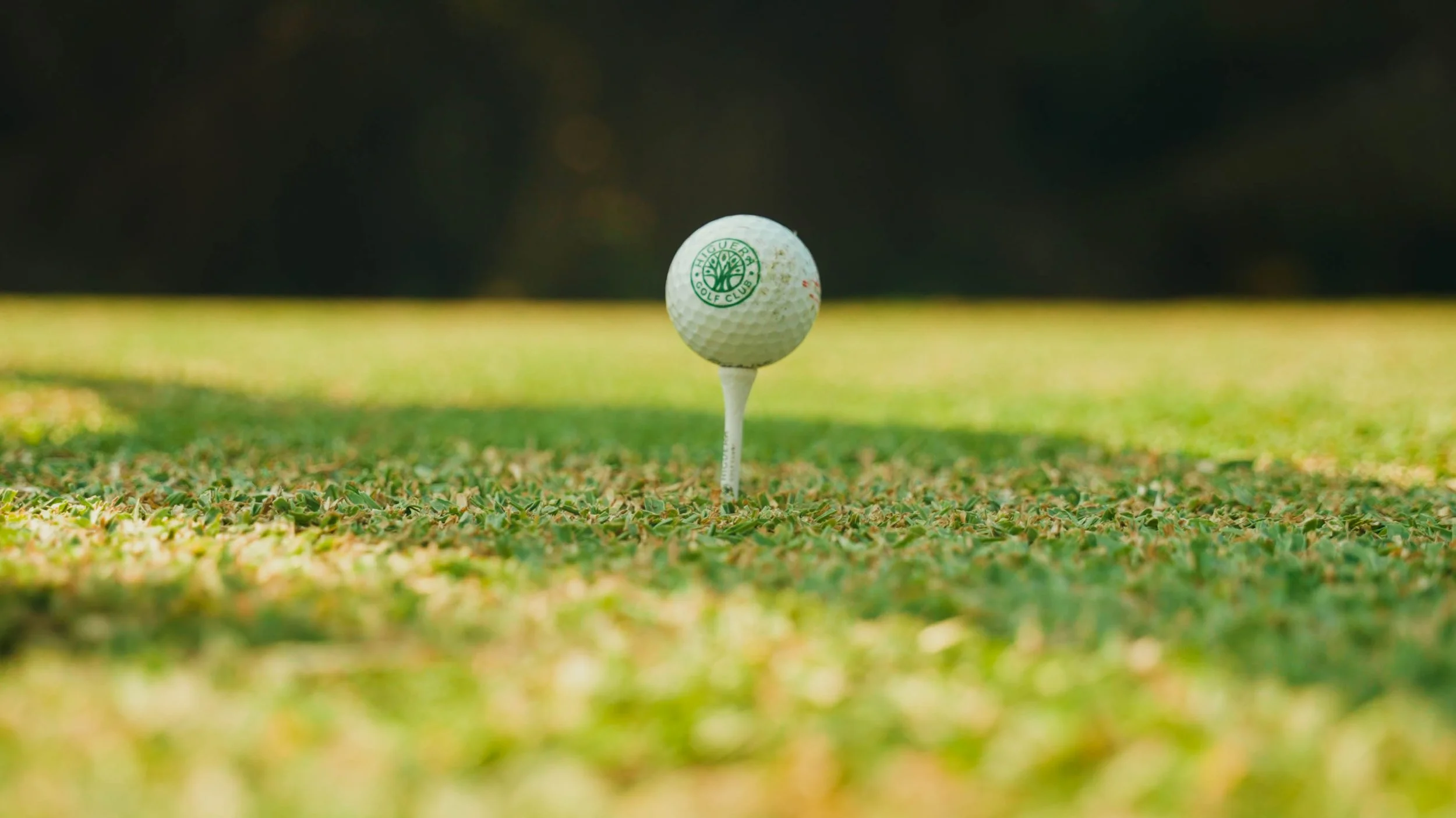 Golf Course Edit.00_08_25_22.Still079.jpg