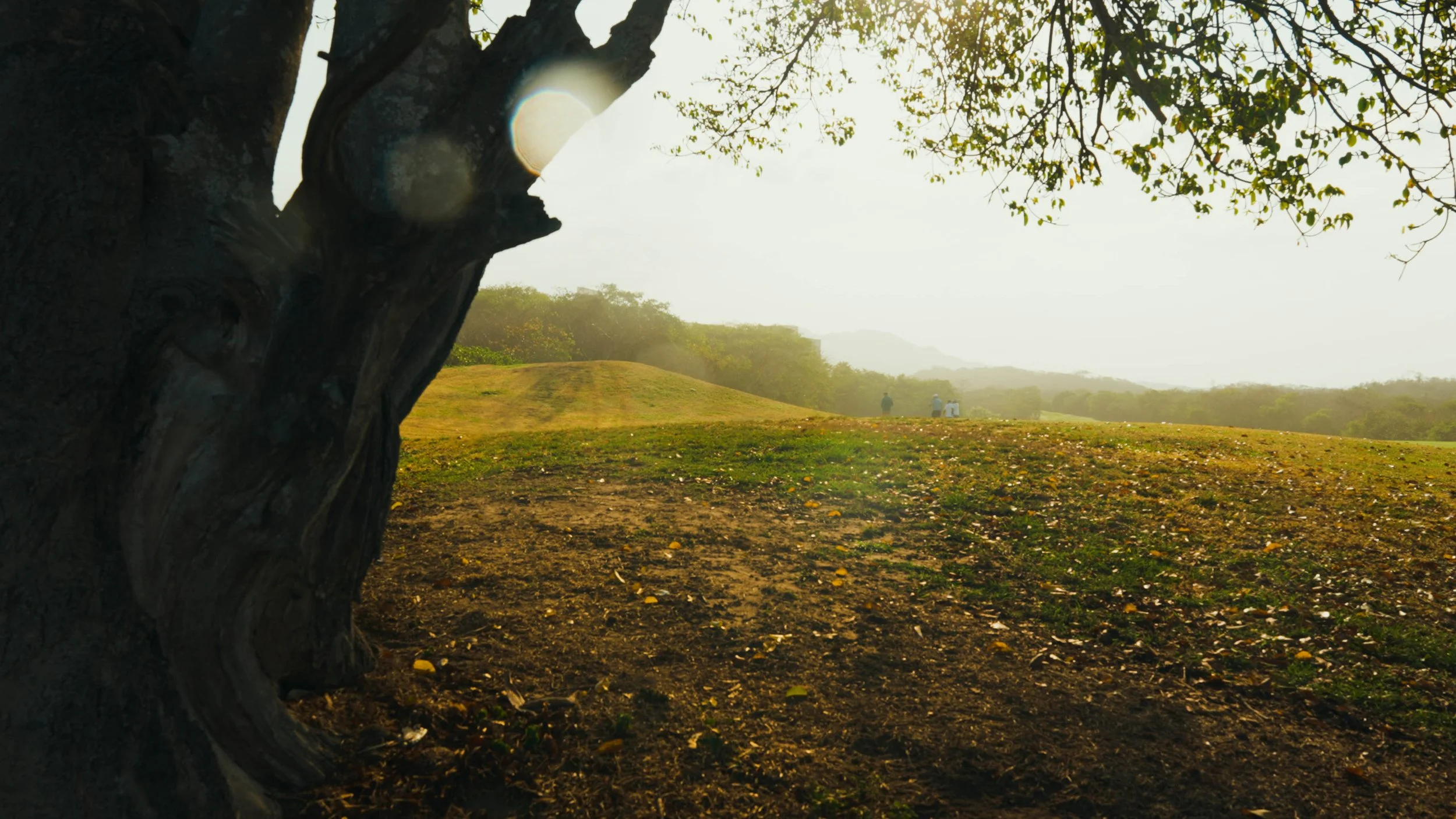 Golf Course Edit.00_18_08_23.Still032.jpg