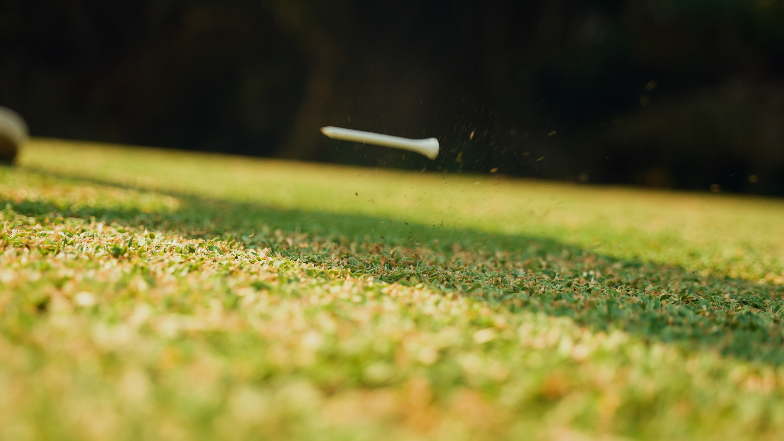 Golf Course Edit.00_08_36_19.Still018.png