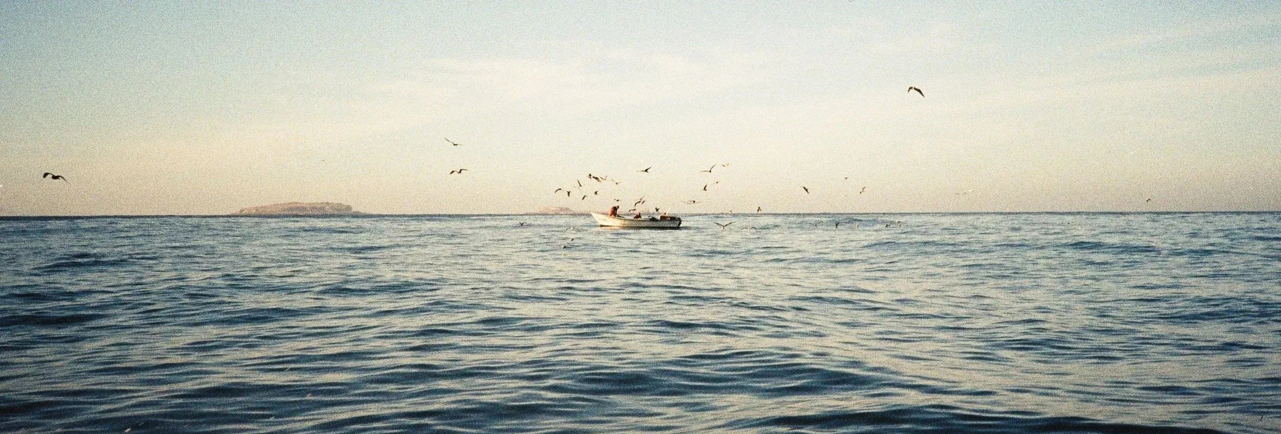 la Panga