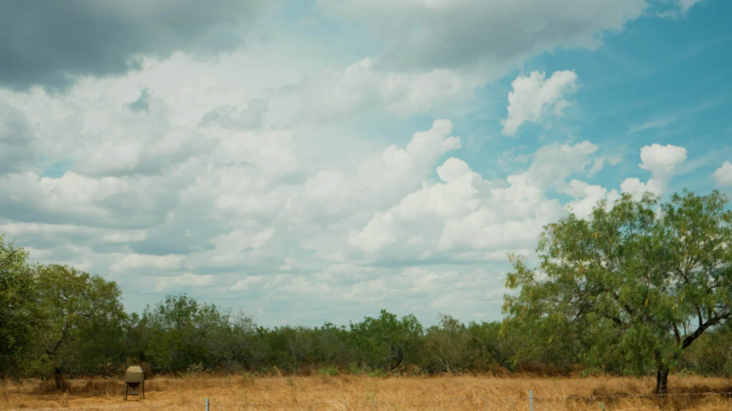 Lonestar.00_01_26_21.Still060.jpg