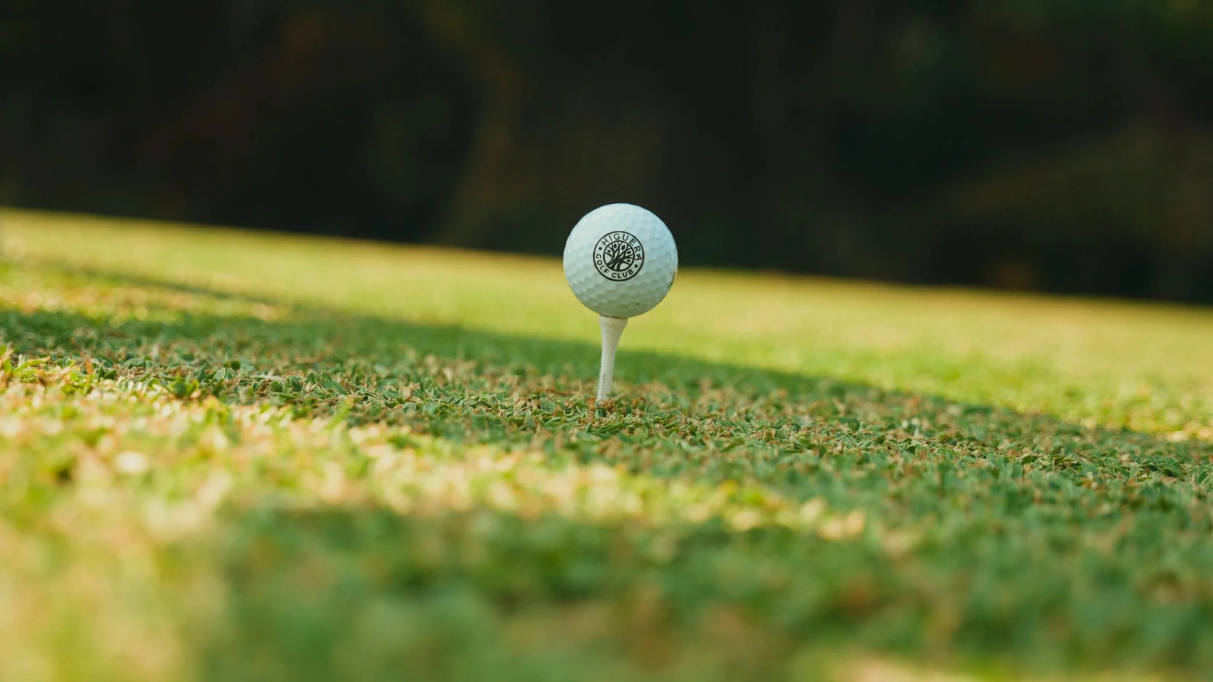 Golf Course Edit.00_08_36_01.Still080.jpg