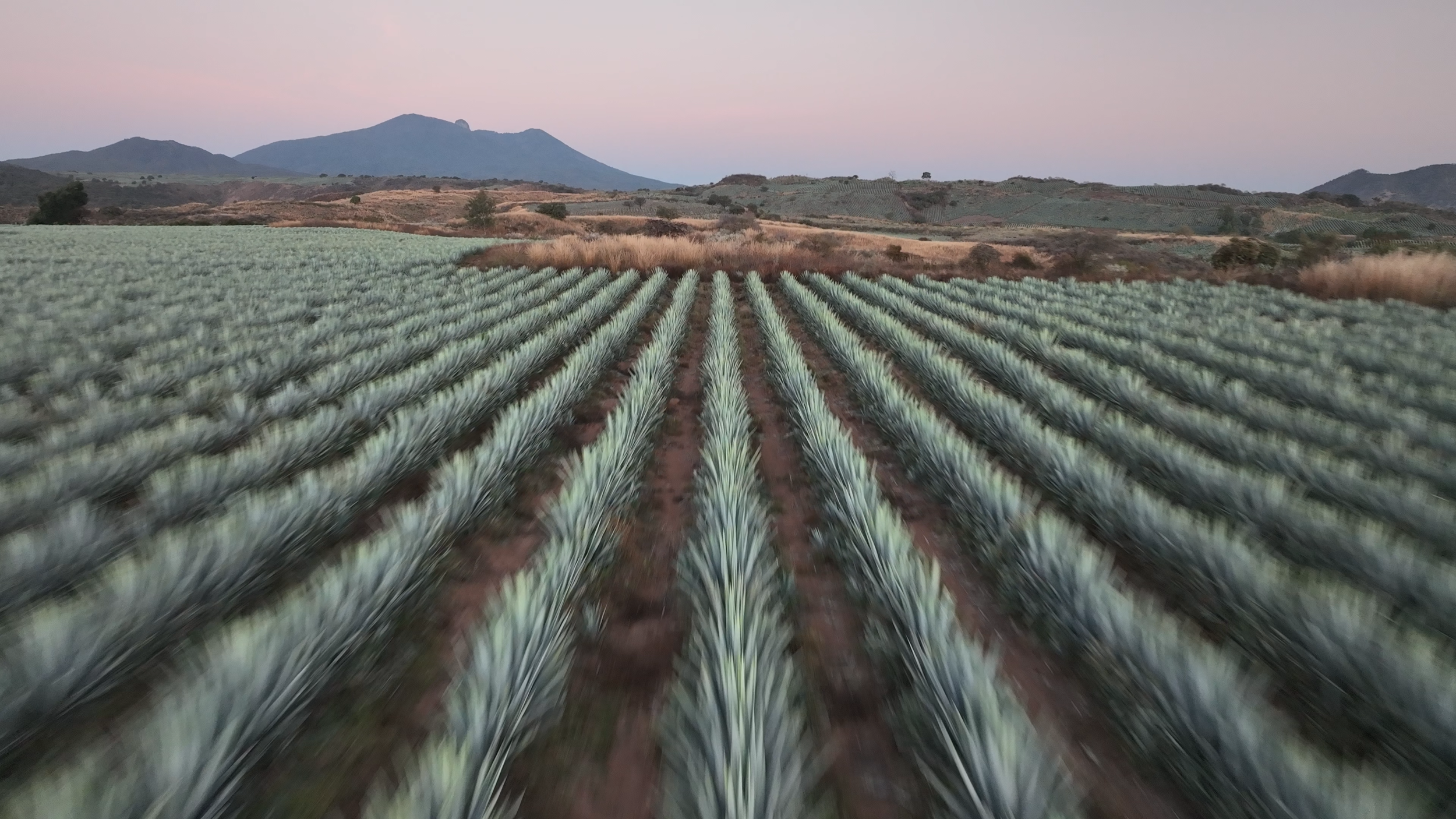 Aguasol Production Process.00_00_02_13.Still064.png