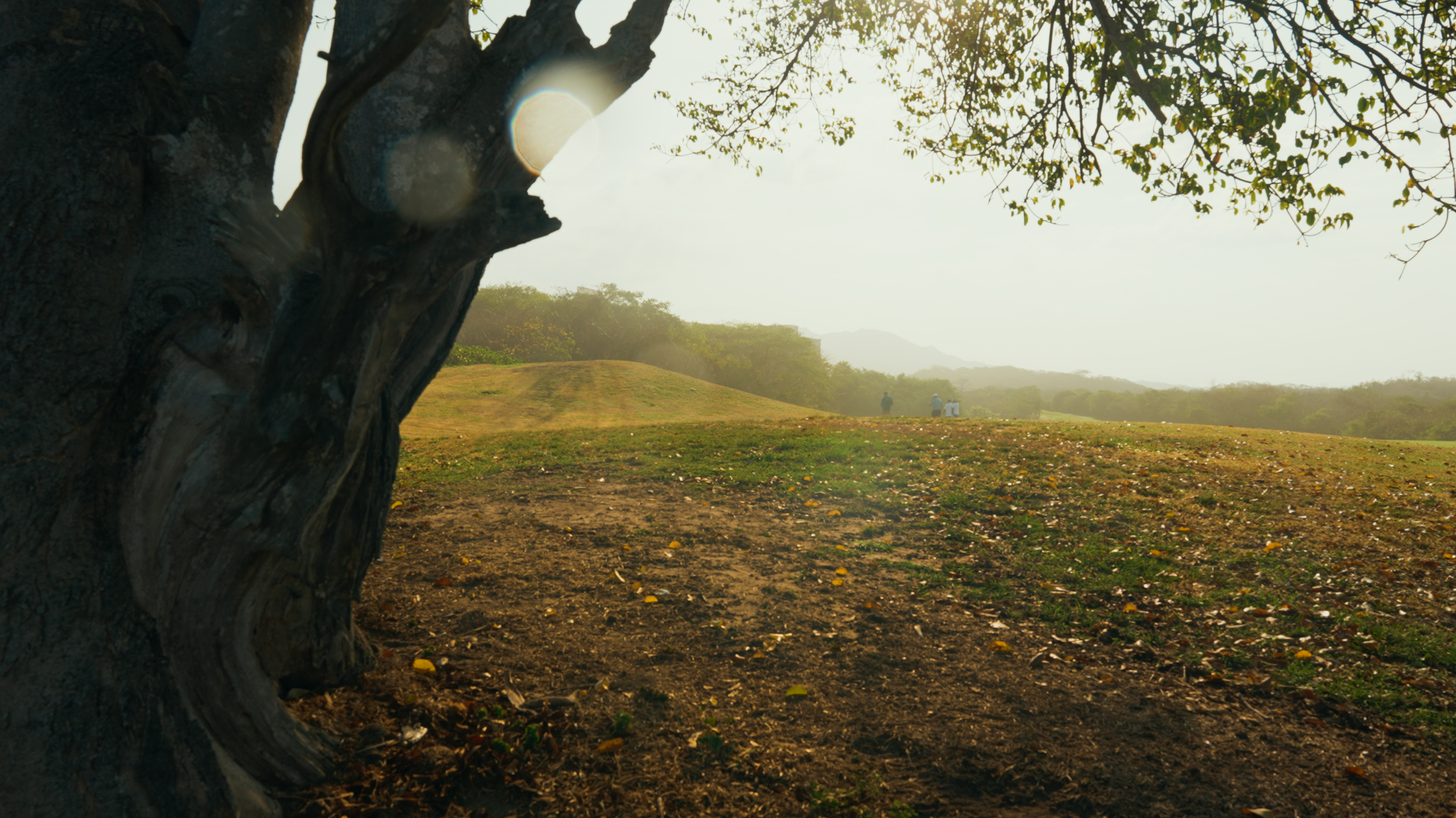 Golf Course Edit.00_18_08_23.Still032.png