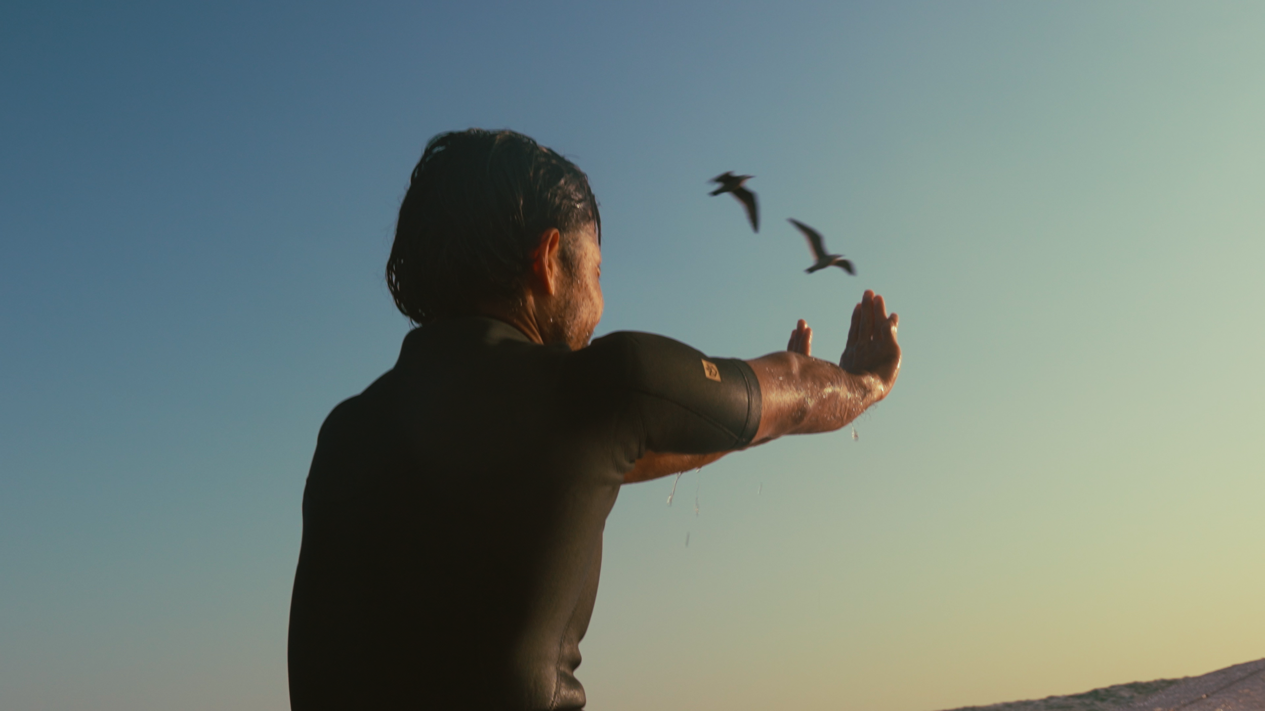 miguel derringer pintail.00_13_19_14.Still013.png