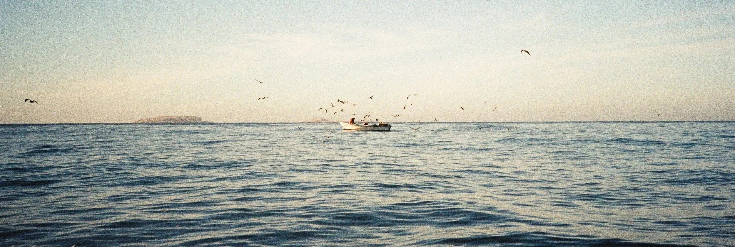 0017_16A-2.jpg