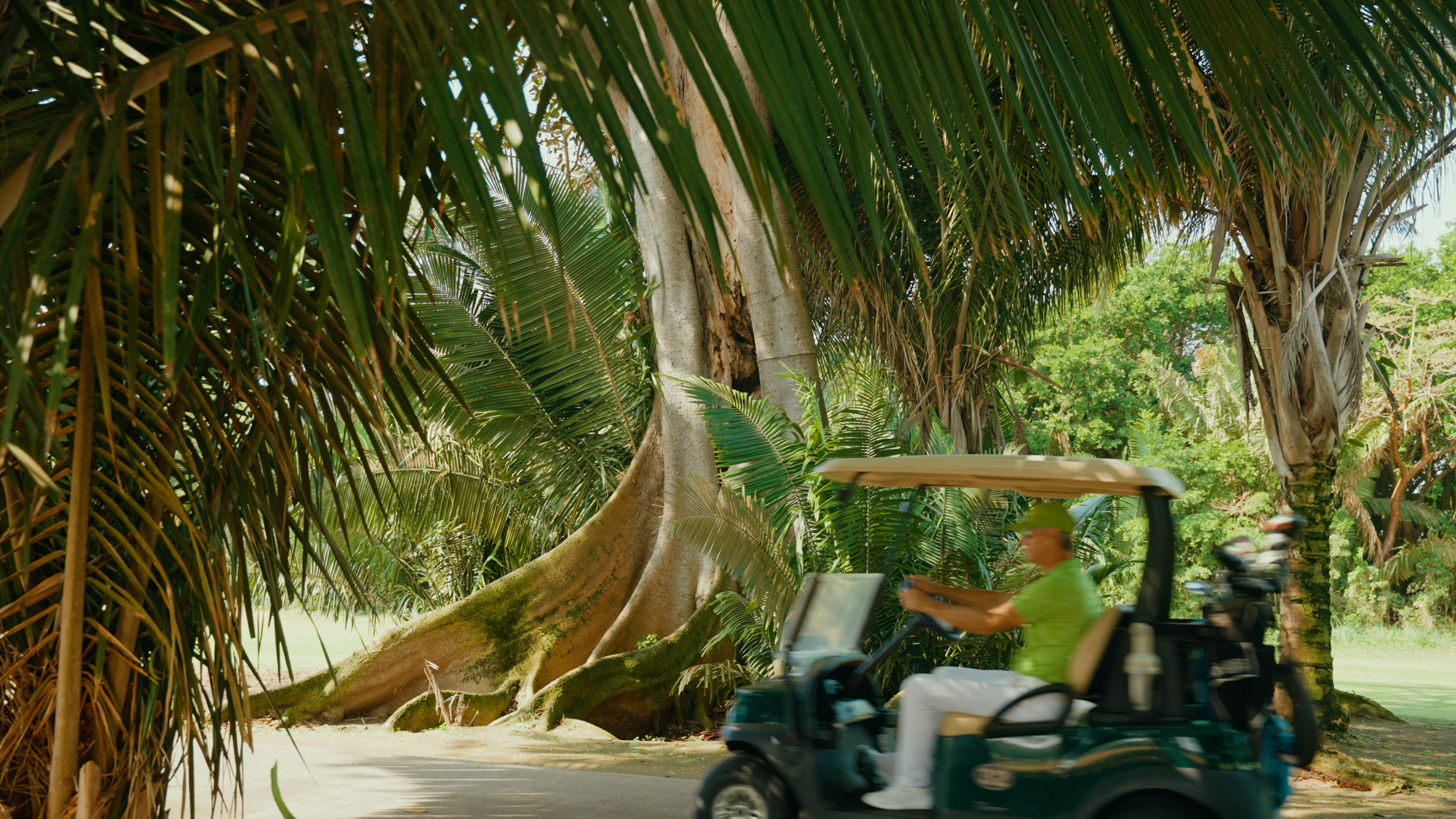 Golf Course Edit.00_08_11_06.Still016.png