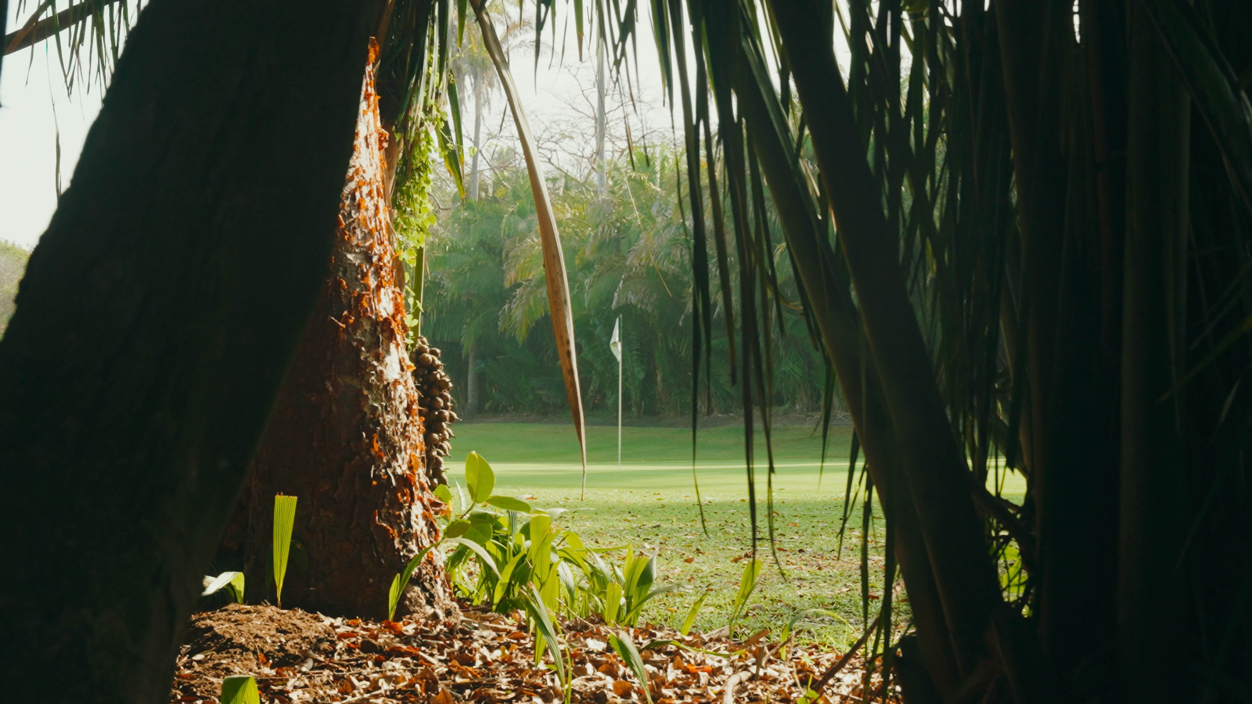 Golf Course Edit.00_15_14_08.Still086.jpg