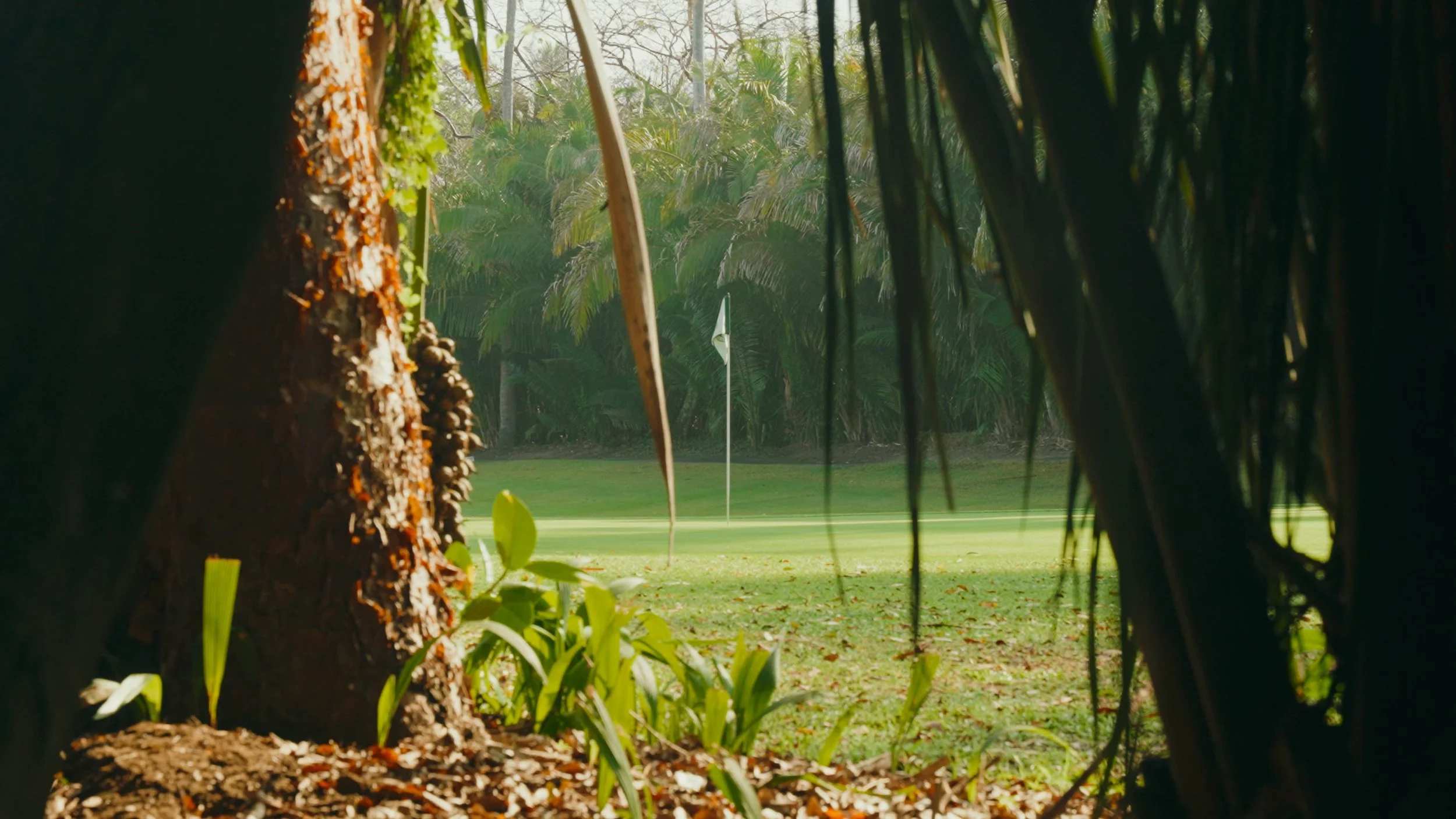 Golf Course Edit.00_15_27_12.Still087.jpg
