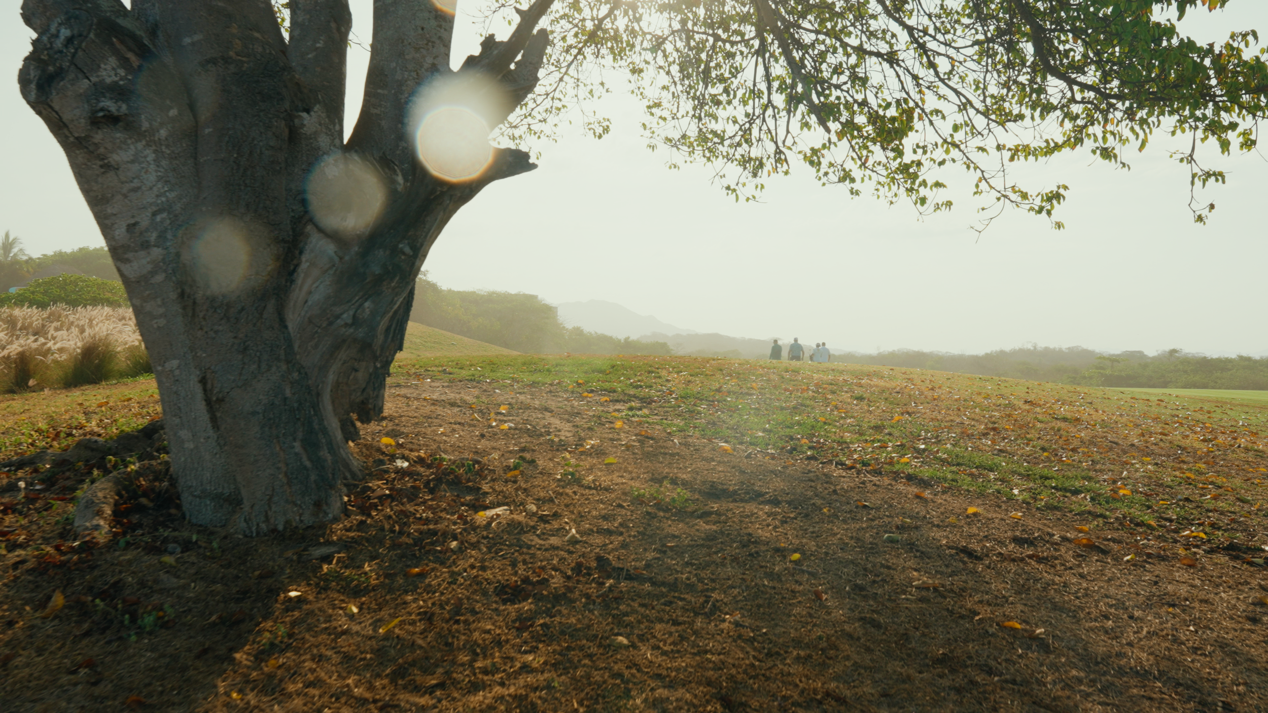 Golf Course Edit.00_18_16_19.Still033.png