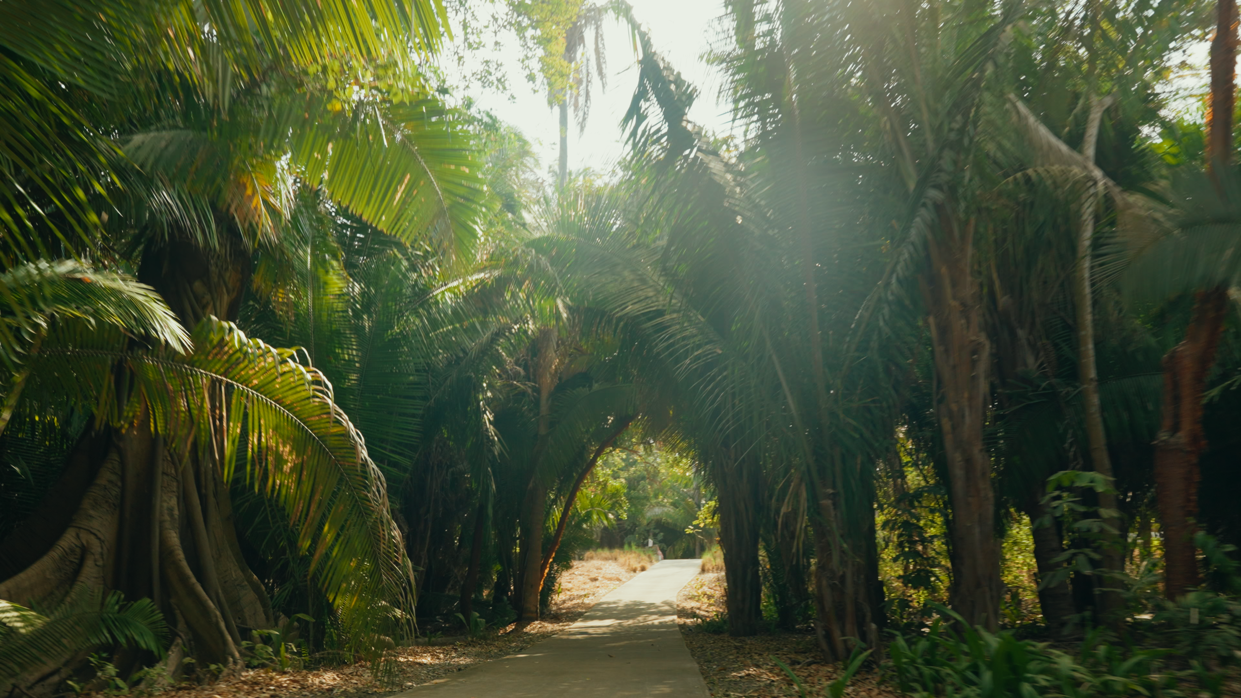 Golf Course Edit.00_10_29_20.Still021.png