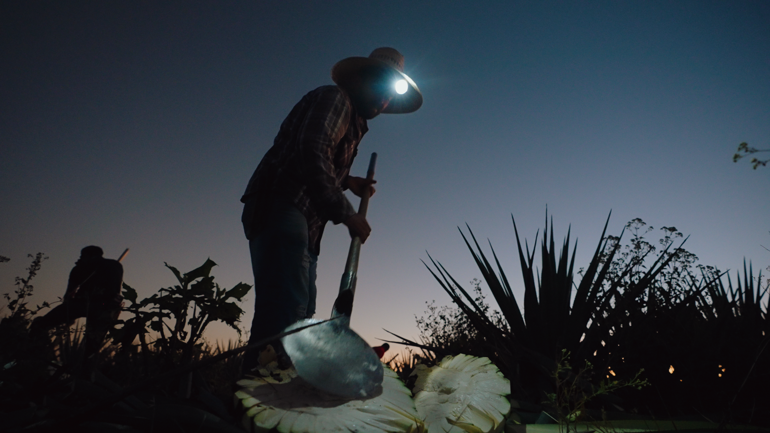 Aguasol Production Process.00_00_24_16.Still067.png