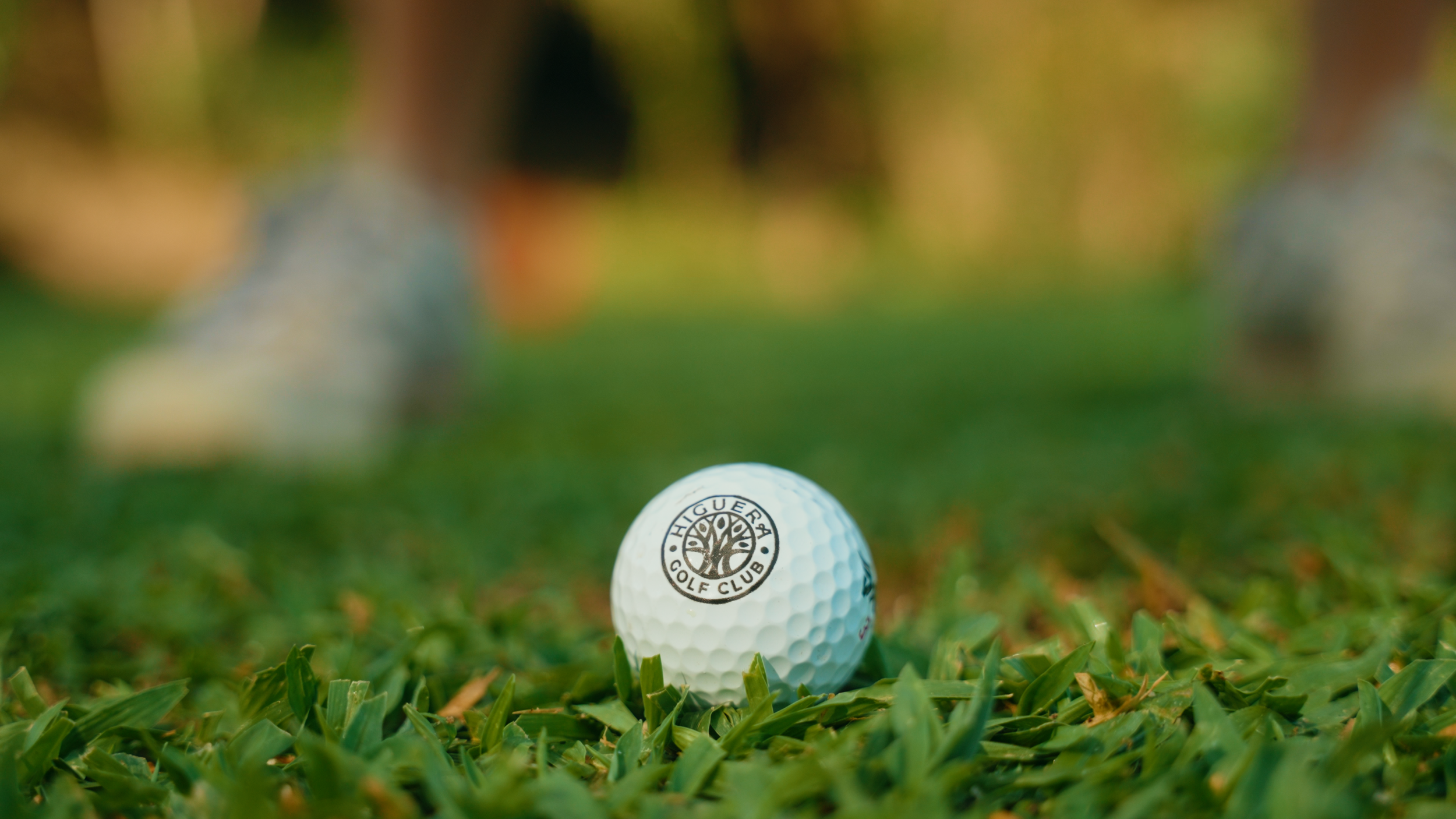 Golf Course Edit.00_13_51_22.Still025.png