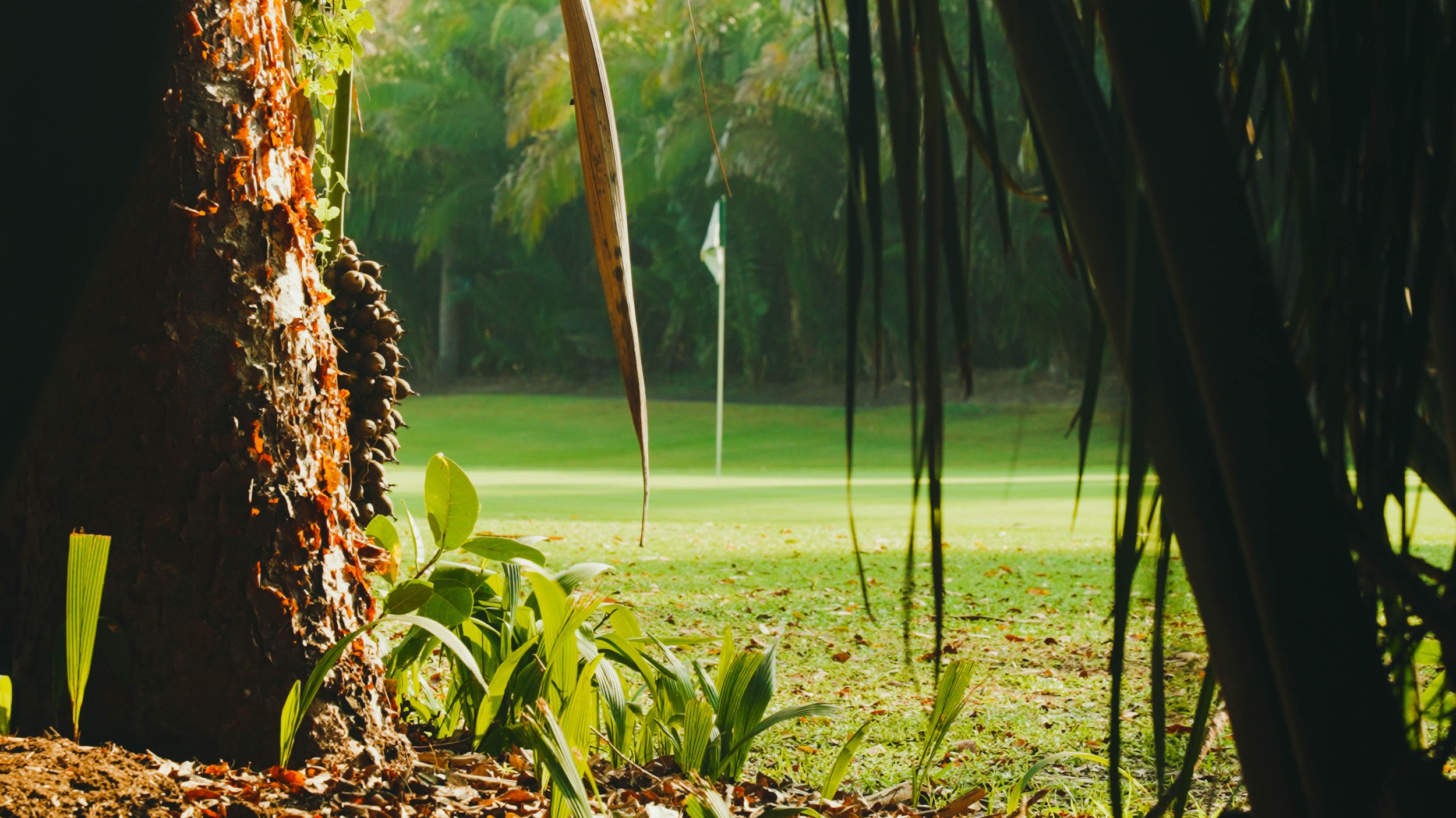 Golf Course Edit.00_15_40_05.Still029.jpg