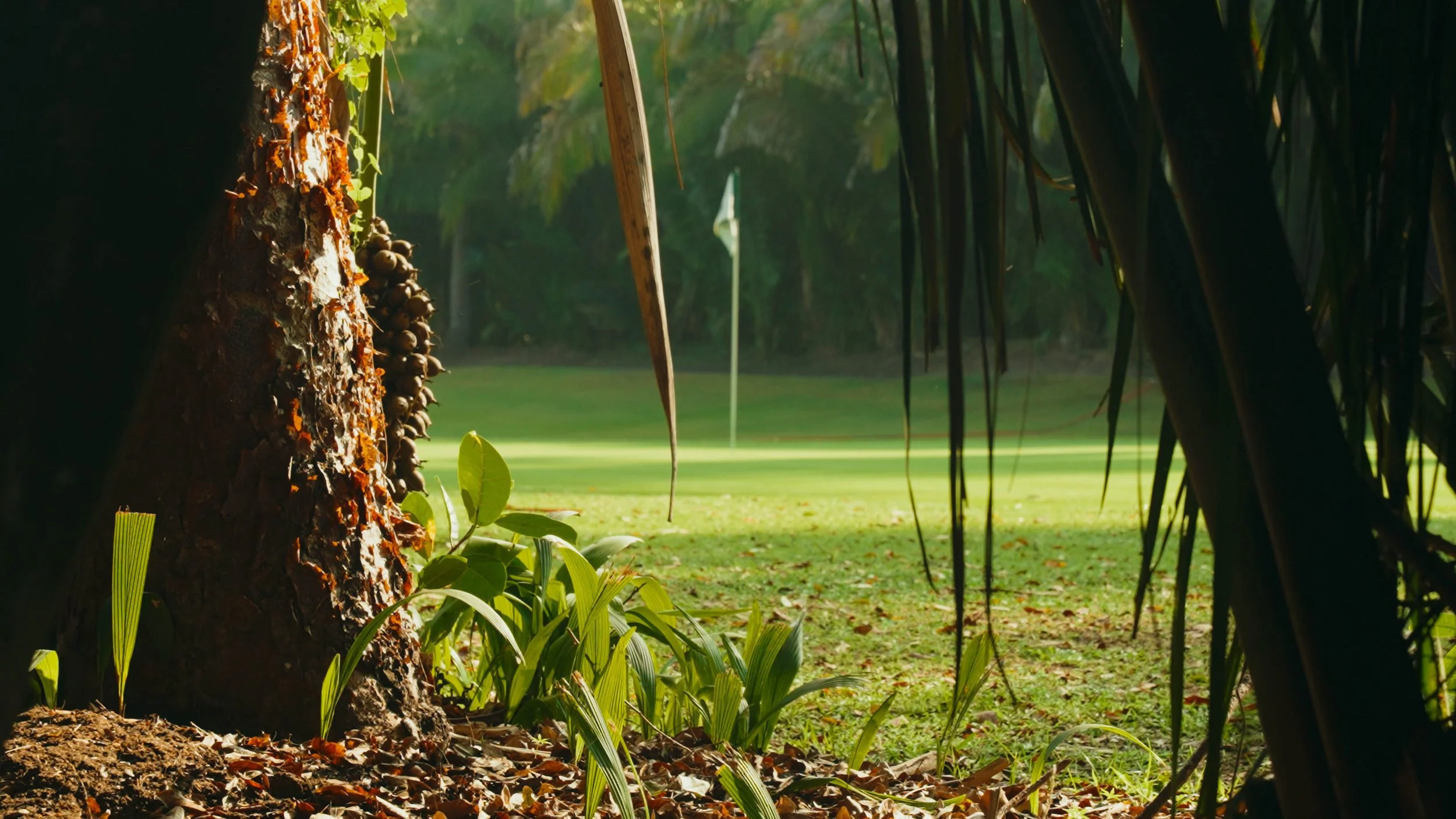 Golf Course Edit.00_15_50_11.Still089.jpg