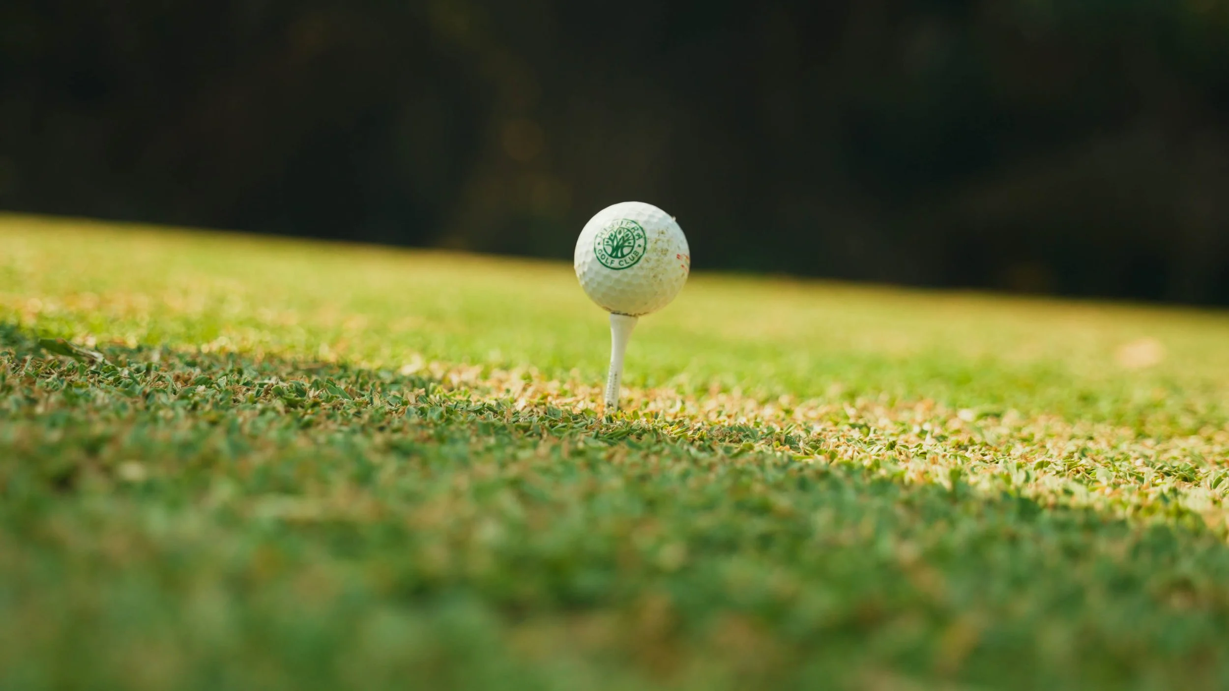 Golf Course Edit.00_08_21_01.Still017.jpg