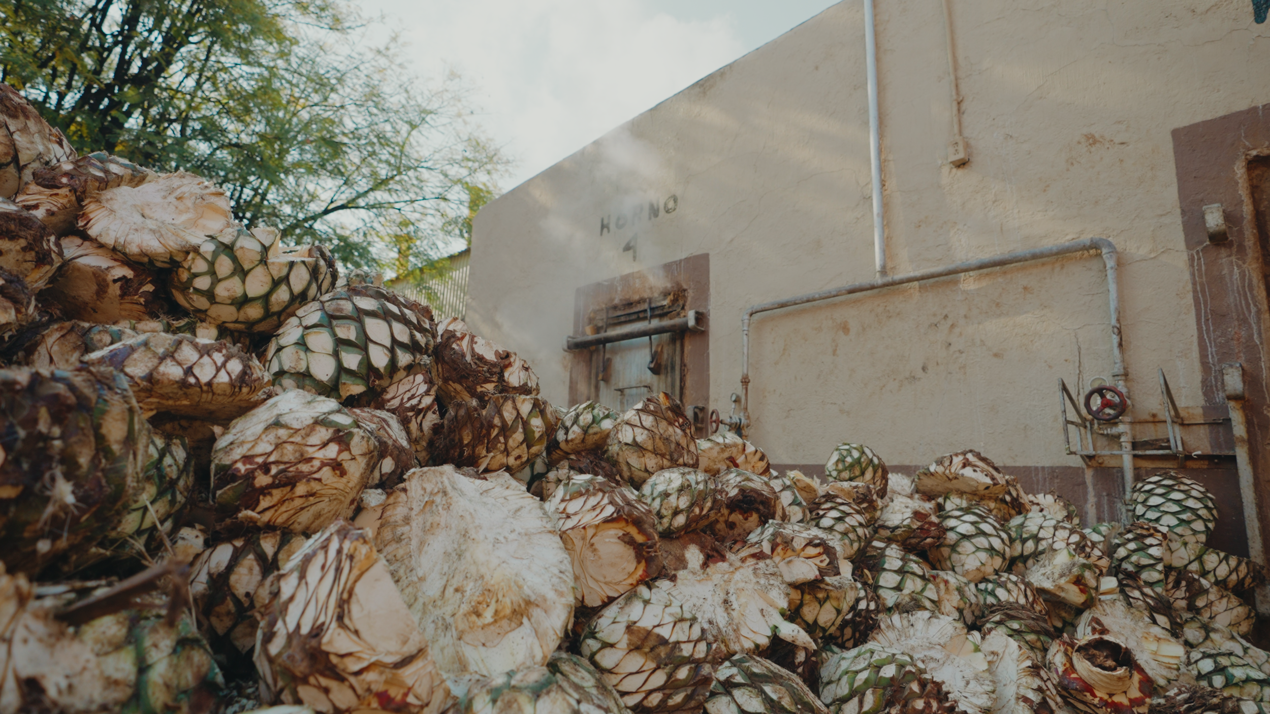 Aguasol Reels.00_02_32_20.Still011.png